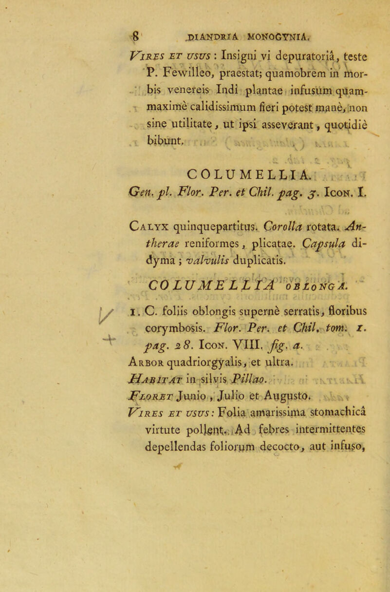 + ^ Vires et usus : Insigui vi depuratoria, teste P. Fewilleo, praestat; quamobrem in mor- bis venereis Indi plantae infusum quam- maxime calidissimum fieri potest mane, non sine utilitate, ut ipsi asseverant, quotidie bibunt. T ' 1 V - - * —. • • * COLUMELLIA. Gen. pi. Flor. Per. et Chil. pag. j. Icon. I. Calyx quinquepartitus. Corolla rotata. An- therae reniformes, plicatae. Capsula di- dyma; vahulis duplicatis. COLUMELLIA OBLONG A. I. C. foliis oblongis superne serratis, floribus corymbosis. Flor. Per. et Chil. tom. z. pag. 28. Icon. VIII. fig. a. Arbor quadriorgyalis, et ultra. Habitat in silvis Pillao. Floret Junio , Julio et Augusto. Vires et usus: Folia amarissima stomachica virtute pollgnt;. Ad febres intermittentes depellendas foliomm decocto, aut infuso,