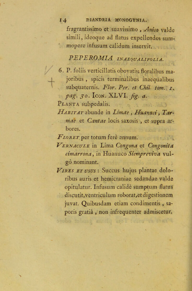 fragrantissimo et suavissimo , Aniso valde simili, ideoque ad flatus expellendos sum- mopere infusum calidum inservit. PEPEROMIA IN AEQUALI FOLIA. — •. '• .» 6. P. foliis verticillatis obovatis; floralibus ma- joribus , spicis terminalibus inaequalibus subquaternis. Flor. Per. et Chil. tom. i. pag. jo. Icon. XLVI. fig. a. Planta subpedalis. Habitat abunde in Limae , Huannci, Tar- mae et Cantae locis saxosis , et supra ar- bores. Floret per totum fere annum. Vernacule in Lima Congona et Congonita cimarrona, in Huanuco Siempreviva vul- go nominant. IAires etusus : Succus hujus plantae dolo- ribus auris et hemicraniae sedandae valde opitulatur. Infusum calide sumptum flatus discutit,ventriculum roborat,etdigestionem juvat. Quibusdam etiain condimentis , sa- poris gratia , non infrequenter admiscetur.