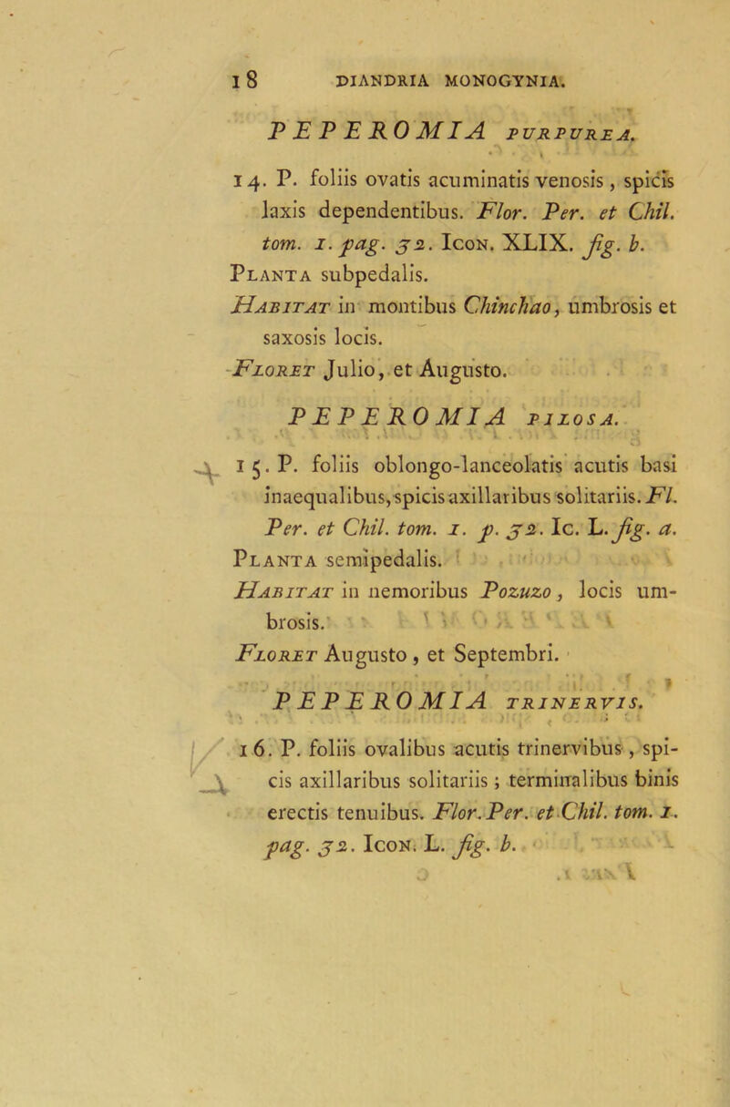PEPEROMIA purpurea. • . y . J . f s \ A 14. P. foliis ovatis acuminatis venosis, spiels Jaxis dependentibus. Flor. Per. et Chil. tom. 1. fag. 32.. Icon. XLIX. Jig. b. Planta subpedalis. Habitat in montibus Chinchao, umbrosis et saxosis locis. Floret Julio, et Augusto. PEPEROMIA pjlosa. 15. P. foliis oblongo-lanceolatis acutis basi inaequalibus,spicisaxillaribus solitariis./^/. Per. et Chil. tom. 1. f. 32. Ic. E jig. a. Planta semipedalis. Habitat in nemoribus Pozuzo, locis um- brosis. Floret Augusto , et Septembri. f » PEPEROMIA trinervis. ; ■■ i 6. P. foliis ovalibus acutis trinervibus , spi- cis axillaribus solitariis; terminalibus binis erectis tenuibus. Flor.Per. et Chil. tom. 1. gag. 32. Icon. L. jig. b. .1