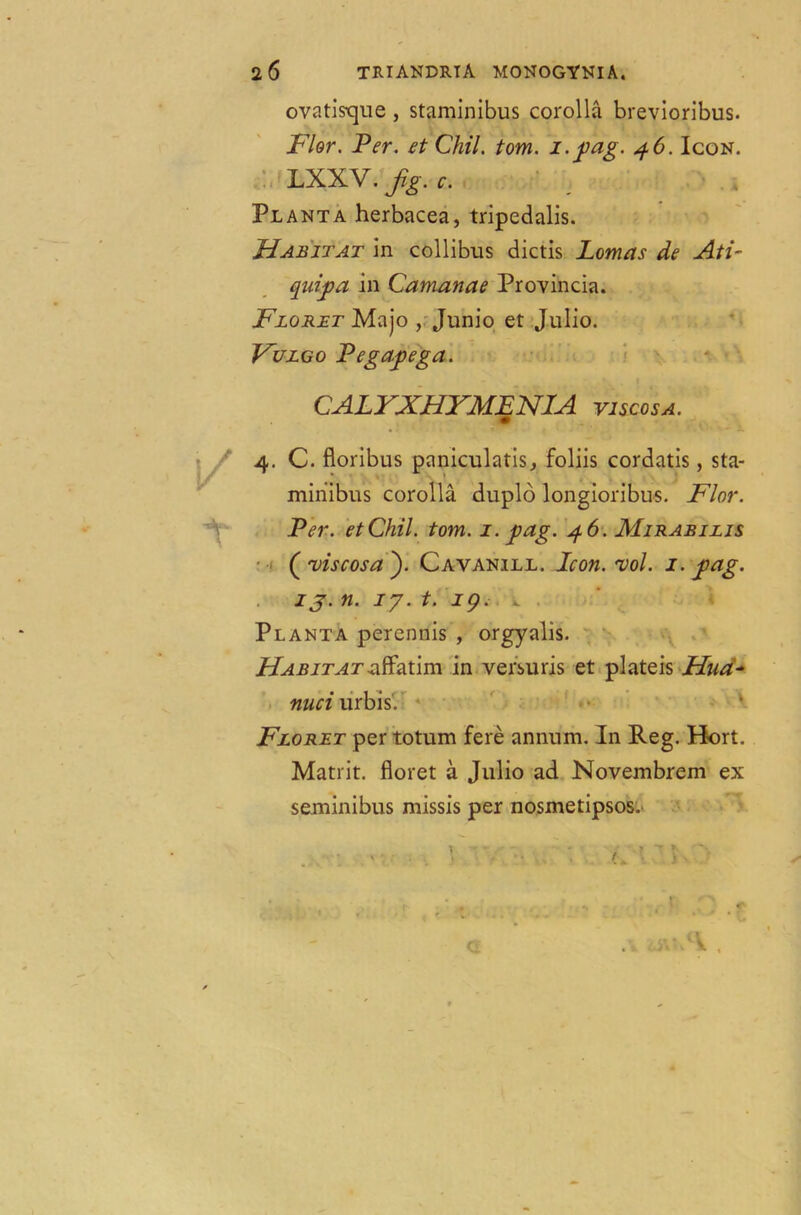 ova tissue , staminibus corolla brevioribus. JFlor. Per. et Chil. tom. 1. fag. 46. Icon. LXXV. Jig. c. Plant a herbacea, tripedalis. Habitat in collibus dictis Lomas de Ati- quifa in Camanae Provincia. Floret Majo , Junio et Julio. Fulgo Pegafega. CALYXHYMENIA viscosa. 4. C. floribus paniculatis, foliis cordatis, sta- minibus corolla duplo longioribus. Flor. Per. etChil. tom. 1. fag. 46. Mirabilis ( viscosa ). Cayanill. Icon. vol. 1. fag. ij. n. iy. t. 19. Planta perennis , orgyalis. Habitatatim in versuris et plateis Hua- nuci urbis'. Floret per totum fere annum. In Reg. Hort. Matrit. floret a Julio ad Novembrem ex seminibus missis per nosmetipsos.