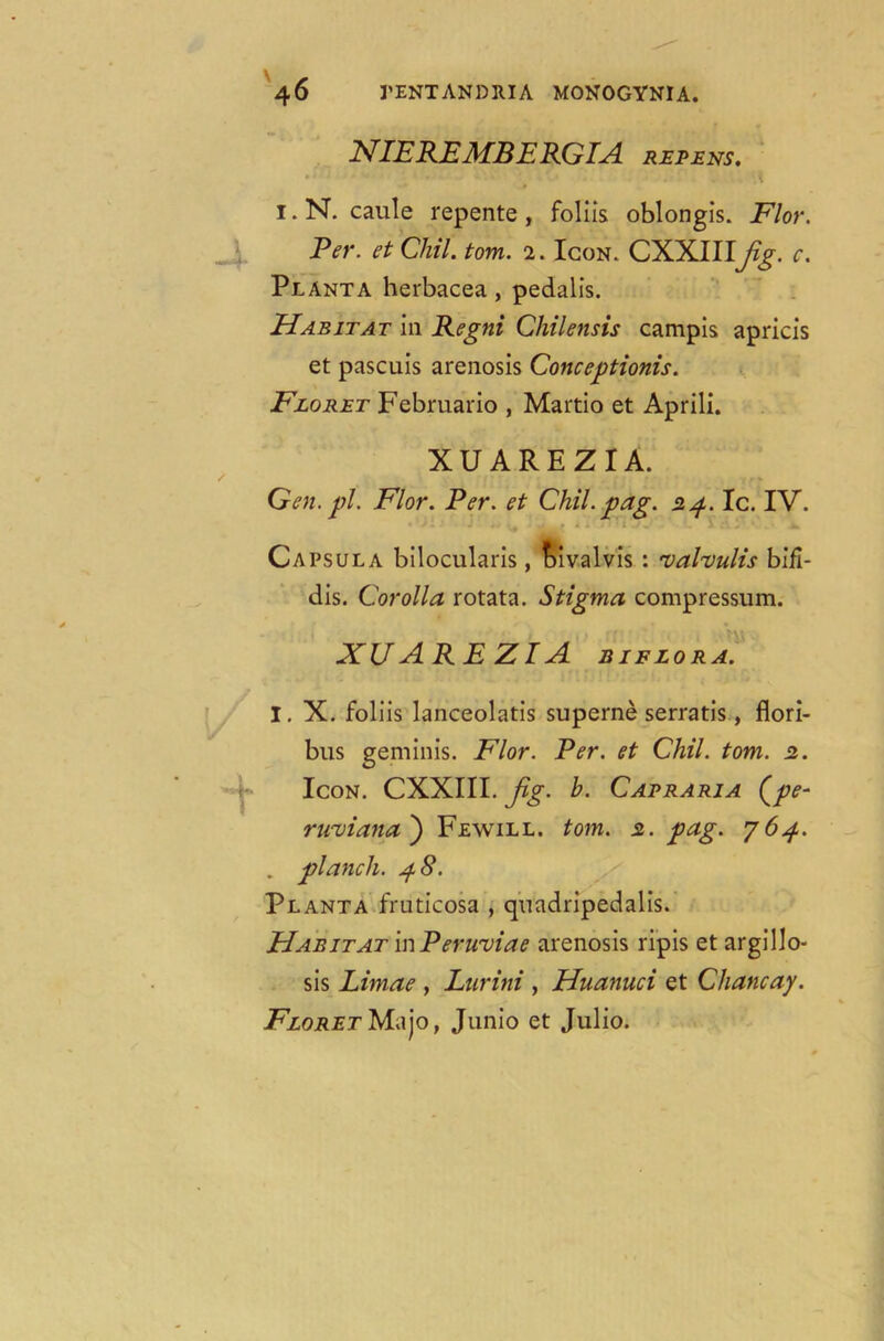 NIEREMBERGTA repens. i. N. caule repente, foliis oblongis. Flor. Per. et Chil. tom. 1. Icon. CXXIII[Jig. c. Plant a herbacea , pedalis. Habitat in Regni Chilensis campis apricis et pascuis arenosis Conceptions. Floret Februario , Martio et Aprili. XUAREZIA. Gen. pi. Flor. Per. et Chil. pag. 24.IC. IV. Capsula bilocularis , &ivalvis : valvulis bifi- dis. Corolla rotata. Stigma compressum. XUAREZIA BIFLORA. I. X. foliis lanceolatis superne serratis, flori- bus geminis. Flor. Per. et Chil. tom. 2. Icon. CXXIII. Jig. h. Capraria (pe- ruviana') Fewill. tom. 2. pag. 764. . planch. 4 8. Planta fruticosa , qnadripedalis. Habitat in Peruviae arenosis ripis et argillo- sis Limae , Lurini , Huanuci et Chancay. Floret Majo, Junio et Julio.