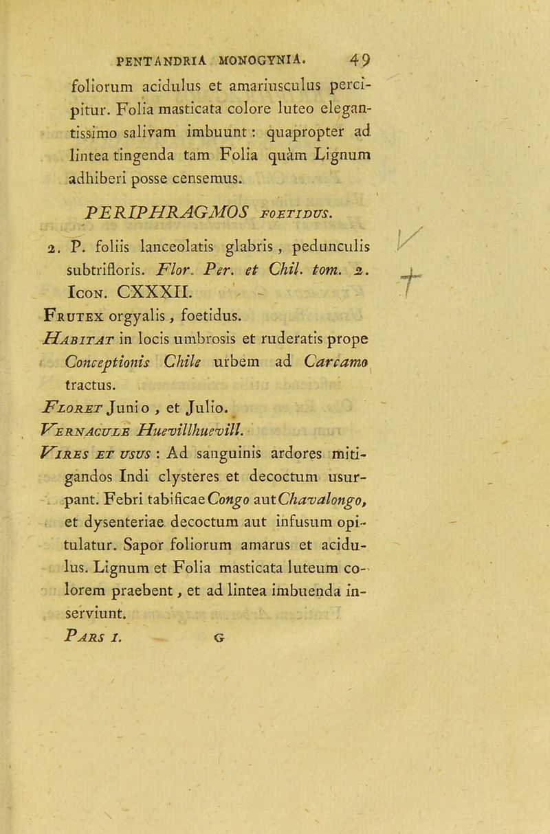 foliorum acidulus et amariusculus perci- pitur. Folia masticata colore luteo elegan- tissimo salivam imbuunt: quapropter ad lintea tingenda tarn Folia quam Lignum adhiberi posse censemus. PERIPHRAGMOS foetidus. 2. P. foliis lanceolatis glabris, pedunculis subtrifloris. Flor., Per. et Chil. tom. 2,. Icon. CXXXII. Frutex orgyalis, foetidus. Habitat in locis umbrosis et ruderatis prope Conceptions Chile urbem ad Carcamo tractus. Floret Junio , et Julio. Fernacule Huevillhuevill. Fires et usus : Ad sanguinis ardores miti- gandos Indi clysteres et decoctum usur- pant. Febri tabificaeCongo autChavalongo, et dysenteriae decoctum aut infusum opi- tulatur. Sapor foliorum amarus et acidu- lus. Lignum et Folia masticata luteum co- lorem praebent, et ad lintea imbuenda in- serviunt. Pars 1. g