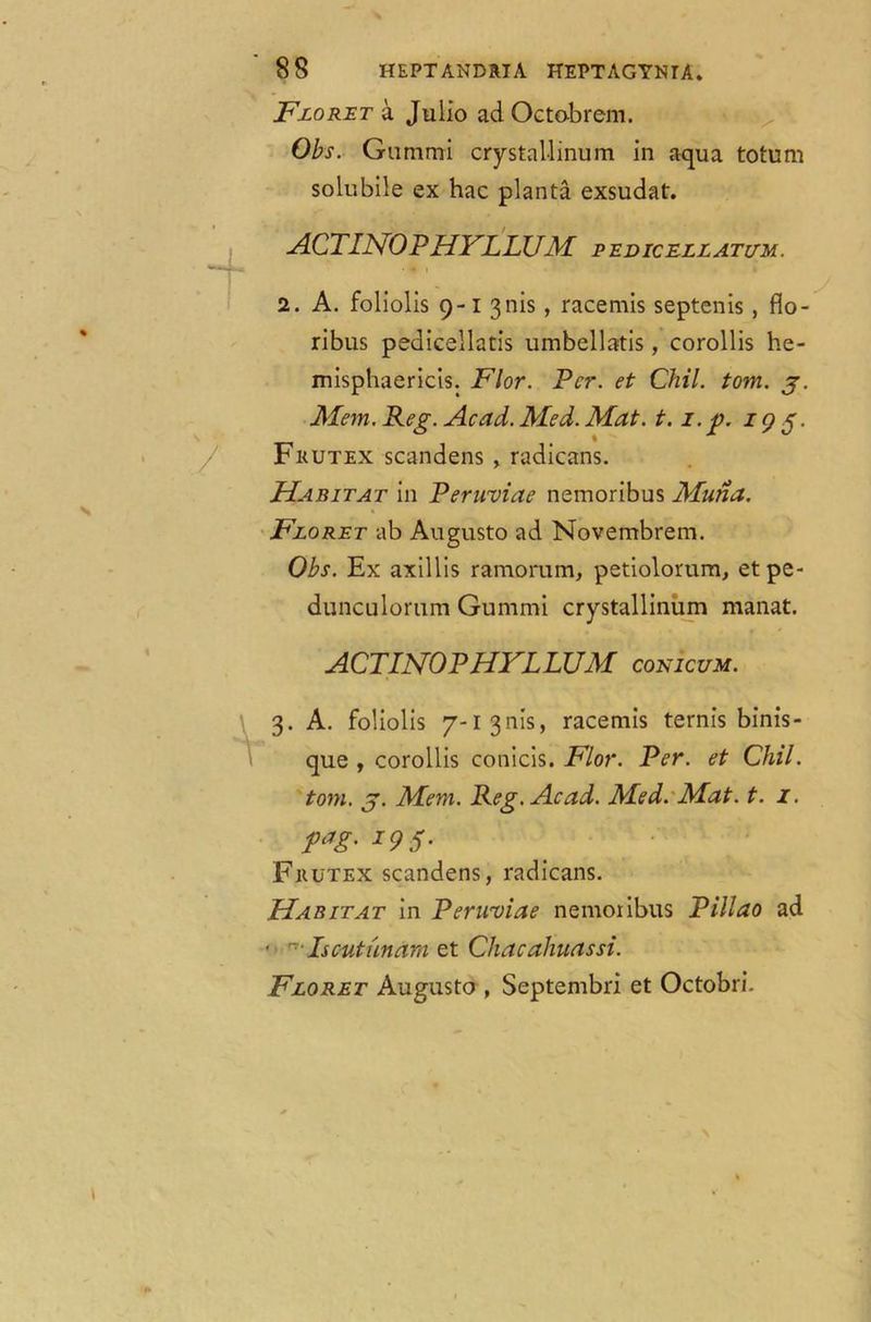 Floret a Julio ad Octobrem. Obs. Gummi crystallinum in aqua totum solubile ex hac planta exsudat. ACTINOPHYLLUM pedicellatum. . « i 2. A. foliolis 9-13 nis , racemis septenis, flo- ribus pedicellatis umbellatis , corollis he- misphaericis. Flor. Per. et Chil. tom. j. Mem. Reg. Acad. Med. Mat. 1.1. p. 19 5. Fkutex scandens , radicans. Habitat in Peruviae nemoribus Muna. Floret ab Augusto ad Novembrem. Obs. Ex axillis ramomm, petiolorum, etpe- dunculorum Gummi crystallinum manat. ACTINOPHYLLUM comcuM. 3. A. foliolis 7-1 3nis, racemis term's binis- que , corollis conicis. Flor. Per. et Chil. tom. g. Mem. Reg. Acad. Med. Mat. t. 1. pag. 195. Fkutex scandens, radicans. Habitat in Peruviae nemoribus Pillao ad • Isc-utimam et Chacahuassi. Floret Augusto , Septembri et Octobri.