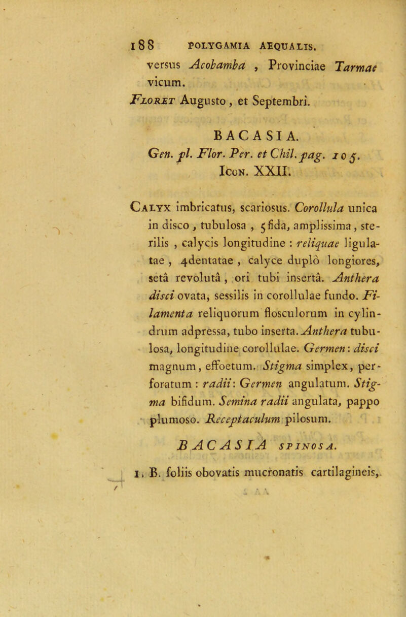 versus Acobamba , Provinciae Tarmae vicum. Floret Augusto , et Septembri. B A C A SI A. Gen. j?l. Flor. Per. et Chil.jpag. to Icon. XXII. Calyx imbricatus, scariosus. Corollula unica in disco , tubulosa , 5 amplissima , ste- rilis , calycis longitudine : reliquae ligula- tae , 4dentatae , calyce duplo longiores, seta revoluta , ori tubi inserta. Anthera disci ovata, sessilis in corollulae fundo. Fi- lamenta reliquorum flosculorum in cylin- drum adpressa, tubo inserta. Anthera tubu- losa, longitudine corollulae. Germen: disci magnum, effoetum. Stigma simplex, per- foratum : radii: Germen angulatum. Stig- ma bifidum. Semina radii angulata, pappo plumoso. Receptaculum pilosum. BACASIA sptnosa. I, B. foliis obovatis mucronatis cartilagineis,.