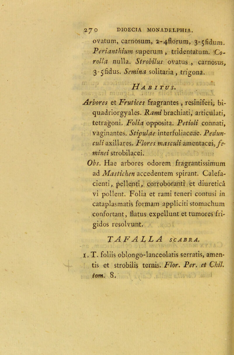 DIOECIA MONADELPHIA. ovatum, carnosum, 2-4florum, 3-$fidum. Perianthium superum , tridentatum. iCo- rolla nulla. Strobilus ovatus , carnosus, 3-^fidus. Semina solitaria, trigona. ; ! til' Ha b itus. Arbores et Frutices fragrantes, resiniferi, bi- quadriorgyales. Rami brachlati, articulati, tetragoni. Folia opposita. Petioli connatf, vaginantes. Stipulae interfoliaceae. Pedun- culi axillares. Flores masculi amentacei,fe- minei strobilacei. Obs. Hae arbores odorem fragrantissimum ad Mastichen accedentem spirant. Calefa- cienti, pellenti, corroborant! et diuretica vi pollent. Folia et rami teneri contusi in cataplasmatis formam appliciti stomachum conformant, flatus expellunt et tumores fri- gidos resolvunt. TAFALLA scabra. l. T. foliis oblongo-lanceolatis serratis, amen- tis et strobilis temis. Flor. Per. et Chil. tom. 8.