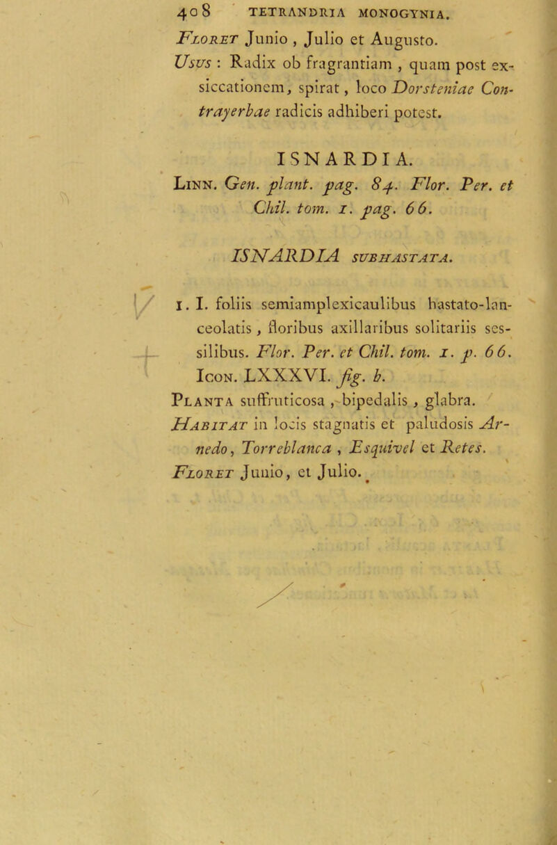 Floret Junio , Julio et Augusto. Usus : Radix ob fragrantiam , quam post ex- siccationem, spirat, loco Dorsteniae Con- trayerbae radicis adhiberi potest. ISNARDIA. Linn. Gen. plant, pag. 8p. Flor. Per. et Clal. tom. i. pag. 66. ISNARDIA SUBHASTATA. I. I. foliis semiamplexicaulibus hastato-lan- ceolatis , ftoribus axillaribus solitariis ses- silibus. Flor. Per. et Cliil. tom. i. p. 66. Icon. LXXXVI. Jig. b. Planta suftniticosa , bipedalis > glabra. Habitat in locis stagnatis et paludosis Av- nedo, Torreblanca , Esquivel et Retes. Floret Junio, et Julio..