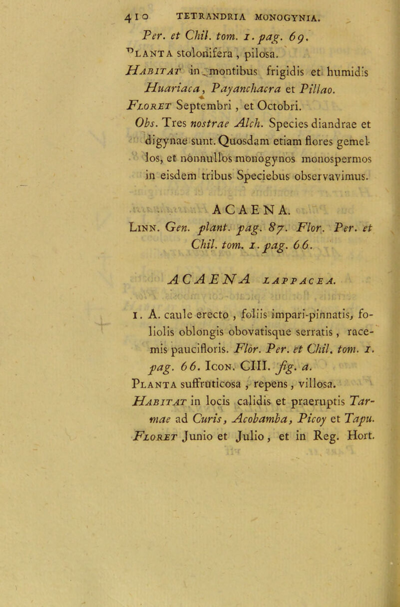 Per. et Chil. tom. i. pag. 6g. ant A stolonifera , pilosa. Habitat in _ montibus frigidis et humidis Huariaca, Payanchacra et Pillao. Floret Septembri, et Octobri. Obs. Tres nostrae Alcli. Species diandrae et digynae sunt. Quosdam etiam fiores gemel- los, et nonnullos monogynos monospermos in eisdem tribus Speciebus observavimus. ACAEN A. Linn. Gen. plant, pag. 87. Flor. Per. et Chil. tom. 1.pag. 66. ACAENA LATE ACE A. AoYtl 7 t£3it HI' N-!* . HjfiT'J'j I. A. caule erecto , foliis impari-pinnatis, fo- liolis oblongis obovatisque serratis, race- mis paucifloris. Flor. Per. et Chil. tom. 1. pag. 66. Icon. CIII. Jig. a. Planta suffruticosa , repens, villosa. Habitat in locis calidis et praeruptis Tar- mae ad Curis, Acobamba, Picoy et Tapn. Floret Junio et Julio, et in Reg. Hort.