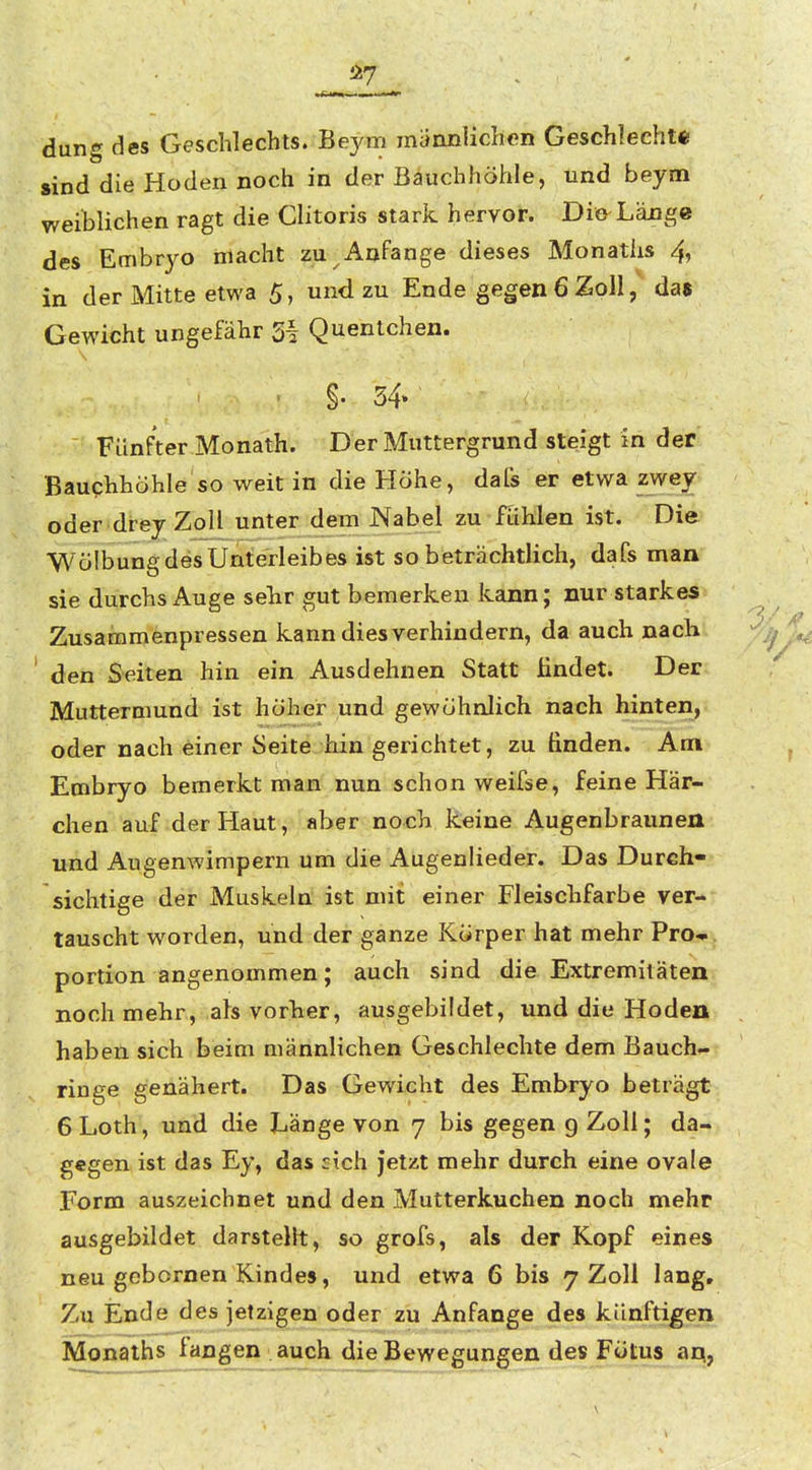 dung des Geschlechts. Beym marmlichen Geschlecht« sind die Hoden noch in der Bauchhöhle, und beym weiblichen ragt die Clitoris stark hervor. Die Länge des Embryo macht zu Anfange dieses Monatlis 4, in der Mitte etwa 5, und zu Ende gegen 6 Zoll, das Gewicht ungefähr 51 Quentchen. • §• 34» Fünfter Monath. Der Muttergrund steigt in der BauphhÖhle so weit in die Höhe, dafs er etwa zwey oder drey Zoll unter dem Nabel zu ftihlen ist. Die W ölbung des Unterleibes ist so beträchtlich, dafs man sie durchs Auge sehr gut bemerken kann; nur starkes Zusammenpressen kann dies verhindern, da auch nach ' den Seiten hin ein Ausdehnen Statt findet. Der Muttermund ist höher und gewöhnlich nach hinten, oder nach einer Seite hin gerichtet, zu finden. Am Embryo bemerkt man nun schon weifse, feine Här- chen auf der Haut, aber noch keine Augenbraunen und Augenwimpern um die Augenlieder. Das Durch- sichtige der Muskeln ist mit einer Fleischfarbe ver-^ tauscht worden, und der ganze Körper hat mehr Pro*, portion angenommen; auch sind die Extremitäten noch mehr, ah vorher, ausgebildet, und die Hoden haben sich beim männlichen Geschlechte dem Bauch- ringe genähert. Das Gewicht des Embryo beträgt 6Loth, und die Länge von 7 bis gegen 9 Zoll; da- gegen ist das Ey, das zieh jetzt mehr durch eine ovale Form auszeichnet und den Mutterkuchen noch mehr ausgebildet darstellt, so grofs, als der Kopf eines neu gobornen Kindes, und etwa 6 bis 7 Zoll lang. Zu Ende des jetzigen oder zu Anfange des künftigen Monaths fangen auch die Bewegungen des Fötus aq,