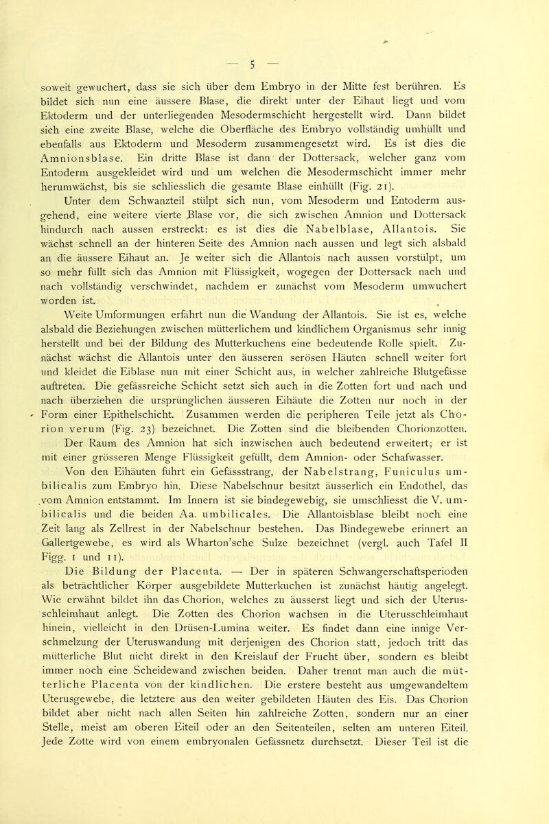 soweit g-ewuchert, dass sie sich über dem Embryo in der Mitte fest berühren. Es bildet sich nun eine äussere Blase, die direld unter der Eihaut liegt und vom Ektoderm und der unterliegenden Mesodermschicht hergestellt wird. Dann bildet sich eine zweite Blase, welche die Oberfläche des Embryo vollständig umhüllt und ebenfalls aus Ektoderm und Mesoderm zusammengesetzt wird. Es ist dies die Amnionsblase. Ein dritte Blase ist dann der Dottersack, welcher ganz vom Entoderm ausgekleidet wird und um welchen die Mesodermschicht immer mehr herumwächst, bis sie schliesslich die gesamte Blase einhüllt (Fig. 21). Unter dem Schwanzteil stülpt sich nun, vom Mesoderm und Entoderm aus- gehend, eine weitere vierte Blase vor, die sich zwischen Amnion und Dottersack hindurch nach aussen erstreckt: es ist dies die Nabelblase, Allantois. Sie wächst schnell an der hinteren Seite des Amnion nach aussen und legt sich alsbald an die äussere Eihaut an. Je weiter sich die Allantois nach aussen vorstülpt, um so mehr füllt sich das Amnion mit Flüssigkeit, wogegen der Dottersack nach und nach vollständig verschwindet, nachdem er zunächst vom Mesoderm umwuchert worden ist. Weite Umformungen erfährt nun die Wandung der Allantois. Sie ist es, welche alsbald die Beziehungen zwischen mütterlichem und kindlichem Organismus sehr innig herstellt und bei der Bildung des Mutterkuchens eine bedeutende Rolle spielt. Zu- nächst wächst die Allantois unter den äusseren serösen Häuten schnell weiter fort und kleidet die Eiblase nun mit einer Schicht aus, in welcher zahlreiche Blutgefässe auftreten. Die gefässreiche Schicht setzt sich auch in die Zotten fort und nach und nach überziehen die ursprünglichen äusseren Eihäute die Zotten nur noch in der ' Form einer Epithelschicht. Zusammen werden die peripheren Teile jetzt als Cho- rion verum (Fig. 23) bezeichnet. Die Zotten sind die bleibenden Chorionzotten. Der Raum des Amnion hat sich inzwischen auch bedeutend erweitert; er ist mit einer grösseren Menge Flüssigkeit gefüllt, dem Amnion- oder Schafwasser. Von den Eihäuten führt ein Gefässstrang, der Nabelstrang, Funiculus um- bilicalis zum Embryo hin. Diese Nabelschnur besitzt äusserlich ein Endothel, das .vom Amnion entstammt. Im Innern ist sie bindegewebig, sie umschliesst die V. um- bilicalis und die beiden Aa. umbilicales. Die Allantoisblase bleibt noch eine Zeit lang als Zellrest in der Nabelschnur bestehen. Das Bindegewebe erinnert an Gallertgewebe, es wird als Wharton'sche Sülze bezeichnet (vergl. auch Tafel II Figg. I und 11). Die Bildung der Placenta. —• Der in späteren Schwangerschaftsperioden als beträchtlicher Körper ausgebildete Mutterkuchen ist zunächst häutig angelegt. Wie erwähnt bildet ihn das Chorion, welches zu äusserst liegt und sich der Uterus- schleimhaut anlegt. Die Zotten des Chorion wachsen in die Uterusschleimhaut hinein, vielleicht in den Drüsen-Lumina weiter. Es findet dann eine innige Ver- schmelzung der Uteruswandung mit derjenigen des Chorion statt, jedoch tritt das mütterliche Blut nicht direkt in den Kreislauf der Frucht über, sondern es bleibt immer noch eine Scheidewand zwischen beiden. Daher trennt man auch die müt- terliche Placenta von der kindlichen. Die erstere besteht aus umg-ewandeltem Uterusgewebe, die letztere aus den weiter gebildeten Häuten des Eis. Das Chorion bildet aber nicht nach allen Seiten hin zahlreiche Zotten, sondern nur an einer Stelle, meist am oberen Eiteil oder an den Seitenteilen, selten am unteren Eiteil. Jede Zotte wird von einem embryonalen Gefässnetz durchsetzt. Dieser Teil ist die