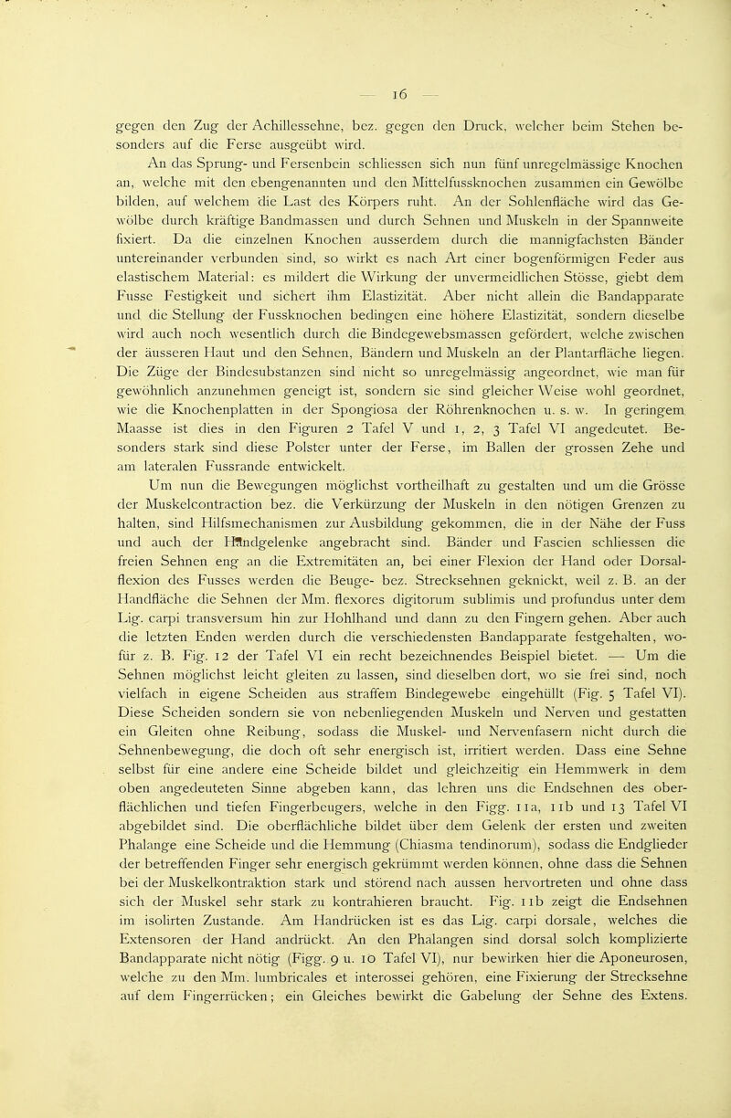 gegen den Zug der Achillessehne, bez. gegen den Druck, welcher beim Stehen be- sonders auf die Ferse ausgeübt wird. An das Sprung- und Fersenbein schliessen sich nun fünf unregelmässige Knochen an, welche mit den ebengenannten und den Mittelfussknochen zusammen ein Gewölbe bilden, auf welchem die Last des Körpers ruht. An der Sohlenfiäche wird das Ge- wölbe durch kräftige Bandmassen und durch Sehnen und Muskeln in der Spannweite fixiert. Da die einzelnen Knochen ausserdem durch die mannigfachsten Bänder untereinander verbunden sind, so wirkt es nach Art einer bogenförmigen Feder aus elastischem Material: es mildert die Wirkung der unvermeidlichen Stösse, giebt dem Fusse Festigkeit und sichert ihm Elastizität. Aber nicht allein die Bandapparate und die Stellung der Fussknochen bedingen eine höhere Elastizität, sondern dieselbe wird auch noch wesentlich durch die Bindegewebsmassen gefördert, welche zwischen der äusseren Haut und den Sehnen, Bändern und Muskeln an der Plantarfläche liegen. Die Züge der Bindesubstanzen sind nicht so unregelmässig angeordnet, wie man für gewöhnlich anzunehmen geneigt ist, sondern sie sind gleicher Weise wohl geordnet, wie die Knochenplatten in der Spongiosa der Röhrenknochen u. s. w. In geringem Maasse ist dies in den Figuren 2 Tafel V und i, 2, 3 Tafel VI angedeutet. Be- sonders stark sind diese Polster unter der Ferse, im Ballen der grossen Zehe und am lateralen Fussrande entwickelt. Um nun die Bewegungen möglichst vortheilhaft zu gestalten imd um die Grösse der Muskelcontraction bez. die Verkürzung der Muskeln in den nötigen Grenzen zu halten, sind Hilfsmechanismen zur Ausbildung gekommen, die in der Nähe der Fuss und auch der I^ndgelenke angebracht sind. Bänder und Fascien schliessen die freien Sehnen eng an die Extremitäten an, bei einer Flexion der Hand oder Dorsal- flexion des Fusses werden die Beuge- bez. Strecksehnen geknickt, weil z. B. an der Handfläche die Sehnen der Mm. flexores digitorum sublimis und profundus unter dem Lig. carpi transversum hin zur Hohlhand und dann zu den Fingern gehen. Aber auch die letzten Enden werden durch die verschiedensten Bandapparate festgehalten, wo- für z. B. Fig. 12 der Tafel VI ein recht bezeichnendes Beispiel bietet. — Um die Sehnen möglichst leicht gleiten zu lassen, sind dieselben dort, wo sie frei sind, noch vielfach in eigene Scheiden aus straffem Bindegewebe eingehüllt (Fig. 5 Tafel VI). Diese Scheiden sondern sie von nebenliegenden Muskeln und Nerven und gestatten ein Gleiten ohne Reibung, sodass die Muskel- und Nervenfasern nicht durch die Sehnenbewegung, die doch oft sehr energisch ist, irritiert werden. Dass eine Sehne selbst für eine andere eine Scheide bildet und gleichzeitig ein Hemmwerk in dem oben angedeuteten Sinne abgeben kann, das lehren uns die Endsehnen des ober- flächlichen und tiefen Fingerbeugers, welche in den Figg. iia, iib und 13 Tafel VI abgebildet sind. Die oberflächliche bildet über dem Gelenk der ersten und zweiten Phalange eine Scheide und die Hemmung (Chiasma tendinorum), sodass die Endglieder der betreffenden Finger sehr energisch gekrümmt werden können, ohne dass die Sehnen bei der Muskelkontraktion stark und störend nach aussen hervortreten und ohne dass sich der Muskel sehr stark zu kontrahieren braucht. Fig. iib zeigt die Endsehnen im isolirten Zustande. Am Handrücken ist es das Lig. carpi dorsale, welches die Extensoren der Hand andrückt. An den Phalangen sind dorsal solch komplizierte Bandapparate nicht nötig (Figg. 9 u. 10 Tafel VI), nur bewirken hier die Aponeurosen, welche zu den Mm. lumbricales et interossei gehören, eine Fixierung der Strecksehne auf dem Fingerrücken; ein Gleiches bewirkt die Gabelung der Sehne des Extens.