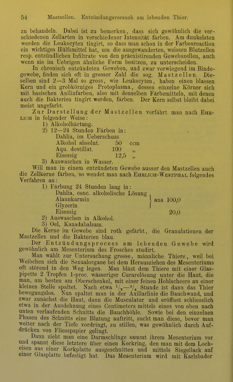 zu bebandeln. Dabei ist zu bemerken, dass sich gewöhnlich die ver- schiedenen Zellarten in verschiedener Intensität färben. Am dunkelsten werden die Leukocyten tingirt, so dass man schon in der Farbenreaction ein wichtiges Hülfsmittel hat, um die ausgewanderten, weissen Blutzellen resp. entzündlichen Infiltrate von den präexistirenden Gewebszellen, auch wenn sie im üebrigen ähnliche Form besitzen, zu unterscheiden. In chronisch entzündeten Geweben, und zwar vorwiegend im Binde- gewebe, finden sich oft in grosser Zahl die sog. Mastzellen. Die- selben sind 2—3 Mal so gross, wie Leukocyten, haben einen blassen Kern und ein grobkörniges Protoplasma, dessen einzelne Körner sich mit basischen Anilinfarben, also mit denselben Färbemitteln, mit denen auch die Bakterien tingirt werden, färben. Der Kern selbst bleibt dabei meist ungefärbt. Zur Darstellung der Mastzellen verfährt man nach Ehe- lich in folgender Weise: 1) Alkoholhärtung. 2) 12—24 Stunden Färben in: Dahlia, im Ueberschuss Alkohol absolut. 50 ccm Aqu. destillat. 100 „ Eisessig 12,5 „ 3) Auswaschen in Wasser. ■ Will man in einem entzündeten Gewebe ausser den Mastzellen auch die Zellkerne färben, so wendet man nach Ehrlich-Westphal folgendes Verfahren an: 1) Färbung 24 Stunden lang in: Dahlia, conc. alkoholische Lösung . Alaunkarmin l ana 100,0 Glyzerin J Eisessig 20,0 2) Auswaschen in Alkohol. 3) Oel, Kanadabalsam. Die Kerne im Gewebe sind roth gefärbt, die Granulationen der Mastzellen und die Bakterien blau. Der Entzündungsprocess am lebenden Gewebe wird gewöhnlich am Mesenterium des Frosches studirt. Man wählt zur Untersuchung grosse, männliche Thiere, weil bei Weibchen sich die Sexualorgane bei dem Herausziehen des Mesenteriums oft störend in den Weg legen. Man bläst dem Thiere mit einer Glas- pipette 2 Tropfen 1-proc. wässeriger Curarelösung unter die Haut, die man, am besten am Oberschenkel, mit einer feinen Hohlscheere an einer kleinen Stelle spaltet. Nach etwa Va—V4 Stunde ist dann das Thier bewegungslos. Nun spaltet man in der Axillarlinie die Bauchwand, und zwar zunächst die Haut, dann die Musculatur und eröffnet schliesslich etwa in der Ausdehnung eines Centiraeters mittels eines von oben nach unten verlaufenden Schnitts die Bauchhöhle. Sowie bei den einzelnen Phasen des Schnitts eine Blutung auftritt, sucht man diese, bevor man weiter nach der Tiefe vordringt, zu stillen, was gewöhnlich durch Auf- drücken von Fliesspapier gelingt. Dann zieht man eine Darmschlinge sammt ihrem Mesenterium vor und spannt diese letztere über einen Korkring, den man mit dem Loch- eisen aus einer Korkplatte ausgeschnitten und mittels Siegellack auf emer Glasplatte befestigt hat. Das Mesenterium wird mit Karlsbader