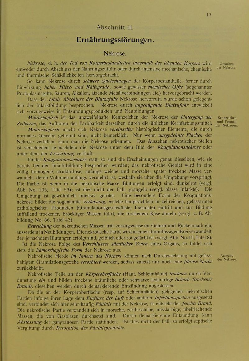 Abschnitt II. Ernährungsstörungen. Nekrose. Nekrose, d. h. der Tod von Körperbestandteilen innerhalb des lebenden Körpers wird entweder durch Abschluss der Nahrungszufuhr oder durch intensive mechanische, chemische und thermische Schädlichi<eiten hervorgebracht. So kann Nekrose durch schwere Quetschungen der Körperbestandteile, ferner durch Einwirkung hoher Hitze- und Kältegrade, sowie gewisser chemischer Gifte (sogenannter Protoplasmagifte, Säuren, Alkalien, ätzende Metallverbindungen etc.) hervorgebracht werden. Dass der totale Abschluss der Blutzufuhr Nekrose hervorruft, wurde schon gelegent- lich der Infarktbildung besprochen. Nekrose durch ungenügende Blutzufuhr entwickelt sich vorzugsweise in Entzündungsprodukten und Neubildungen. Mikroskopisch ist das unzweifelhafte Kennzeichen der Nekrose der Untergang der Zellkerne, das Aufhören der Färbbarkeit derselben durch die üblichen Kernfärbungsmittel. Makroskopisch macht sich Nekrose vereinzelter histologischer Elemente, die durch normales Gewebe getrennt sind, nicht bemerklich. Nur wenn ausgedehnte Flächen der Nekrose verfallen, kann man die Nekrose erkennen. Das Aussehen nekrotischer Stellen ist verschieden, je nachdem die Nekrose unter dem Bild der Koagulationsnekrose oder unter dem der Erweichung verläuft. Findet Koagulationsnekrose statt, so sind die Erscheinungen genau dieselben, wie sie bereits bei der Infarktbildung besprochen wurden; das nekrotische Gebiet wird in eine völlig homogene, strukturlose, anfangs weiche und morsche, später trockene Masse ver- wandelt, deren Volumen anfangs vermehrt ist, weshalb sie über die Umgebung vorspringt. Die Farbe ist, wenn in die nekrotische Masse Blutungen erfolgt sind, dunkelrot (vergl. Abb. No. 105, Tafel 53); ist dies nicht der Fall, graugelb (vergl. blasse Infarkte). Die Umgebung ist gewöhnlich intensiv gerötet. Eine besondere Form der Koagulations- nekrose bildet die sogenannte Verkäsung, welche hauptsächlich in zellreichen, gefässarmen pathologischen Produkten (Granulationsgeschwülste, Exsudate) eintritt und zur Bildung auffallend trockener, bröckliger Massen führt, die trockenem Käse ähneln (vergl. z. B. Ab- bildung No. 86, Tafel 43). Erweichung der nekrotischen Massen tritt vorzugsweise im Gehirn und Rückenmark ein, ausserdem in Neubildungen. Die nekrotische Partie wird in einen dünnflüssigen Brei verwandelt, der, je nachdem Blutungen erfolgt sind, gelblich oder rot gefärbt ist (vergl. Abb. No. 15, Tafel 8). Ist die Nekrose Folge des Verschlusses sämtlicher Venen eines Organs, so bildet sich stets die hämorrhagische Form der Nekrose aus. Nekrotische Herde im Innern des Körpers können nach Durchwachsung mit gefäss- haltigem Granulationsgewebe resorbiert werden, sodass zuletzt nur noch eine fibröse Narbe zurückbleibt. Nekrotische Teile an der Körperoberfläche (Haut, Schleimhäute) trocknen durch Ver- dunstung ein und bilden trockene bräunliche oder schwarze lederartige Schorfe (trockener Brand), dieselben werden durch demarkierende Entzündung abgestossen. Da die an der Körperoberfiäche (resp. auf Schleimhäuten) gelegenen nekrotischen Partien infolge ihrer Lage dem Einfluss der Luft oder anderer Infektionsquellen ausgesetzt sind, verbindet sich hier sehr häufig Fäulnis mit der Nekrose, es entsteht A&r feuchte Brand. Die nekrotische Partie verwandelt sich in morsche, zerfliessliche, missfarbige, übelriechende Massen, die von Gasblasen durchsetzt sind. Durch demarkierende Entzündung kann Abstossung der gangränösen Partie stattfinden. Ist dies nicht der Fall, so erfolgt septische Vergiftung durch Resorption der Fäulnisprodukte. Ursachen der Nekrose. Kennzeichen und Formen der Nekrosen. Ausgang der Nekrose.
