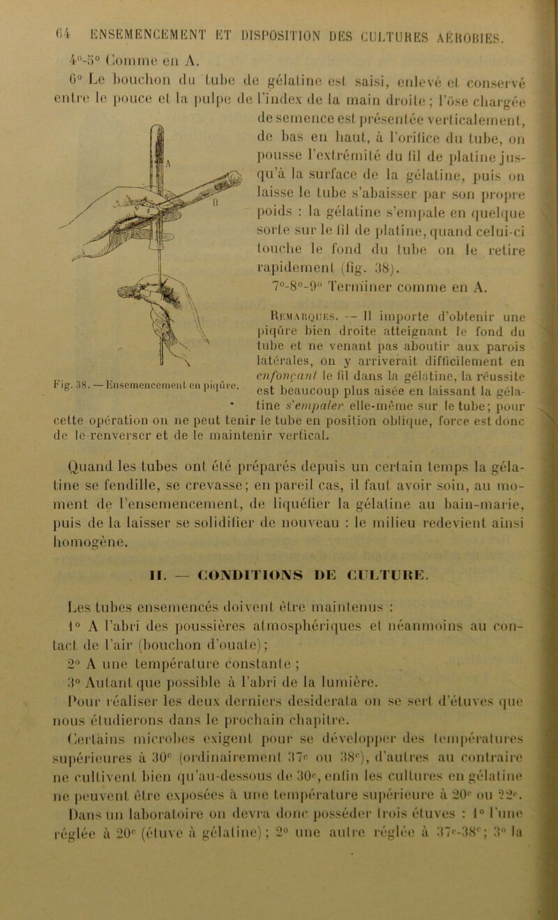 4°-o° Comme en A. 0° Le bouchon du tube de gélatine est saisi, enlevé et conservé entre le pouce cl la pulpe de l’index de la main droite; Pose chargée de semence est présentée verticalement, de bas en haut, à l’orifice du tube, on pousse l’extrémité du fil de platine jus- qu’à la surface de la gélatine, puis on laisse le tube s’abaisser par son propre poids : la gélatine s’empale en quelque sorte sur le fil de platine, quand celui-ci louche le fond du tube on le retire rapidement (fig. 38). 7°-8°-9° Terminer comme en A. Remarques. — 11 importe d’obtenir une piqûre bien droite atteignant le fond du tube et ne venant pas aboutir aux parois latérales, on y arriverait difficilement en n. enfonçant le fil dans la gélatine, la réussite F,g. 38.-Ensemencement en piqûre. est beaucoup p,Lls aisée en laissaut ,a géla. ‘ tine s'empaler elle-même sur le tube; pour cette opération on ne peut tenir le tube en position oblique, force est donc de le renverser et de le maintenir vertical. Quand les tubes ont été préparés depuis un certain temps la géla- tine se fendille, se crevasse; en pareil cas, il faut avoir soin, au mo- ment de l’ensemencement, de liquéfier la gélatine au bain-marie, puis de la laisser se solidifier de nouveau : le milieu redevient ainsi homogène. II. — CONDITIONS DE CULTURE. Les tubes ensemencés doivent être maintenus : 1° A l’abri des poussières atmosphériques el néanmoins au con- tact de l’air (bouchon d’ouate); 2° A une température constante ; 3° Autant que possible à l’abri de la lumière. Pour réaliser les deux derniers desiderata on se sert d’étuves que nous étudierons dans le prochain chapitre. Certains microbes exigent pour se développer des températures supérieures à 30e (ordinairement 37e ou 38r), d’autres au contraire ne cultivent bien qu’au-dessous de 30e, enfin les cultures en gélatine ne peuvent être exposées à une température supérieure à 20e ou 52e. Dans un laboratoire on devra donc posséder Irois étuves : 1° l’une réglée à 20e (étuve à gélatine); 2° une autre réglée à 37e-38r; 3 la