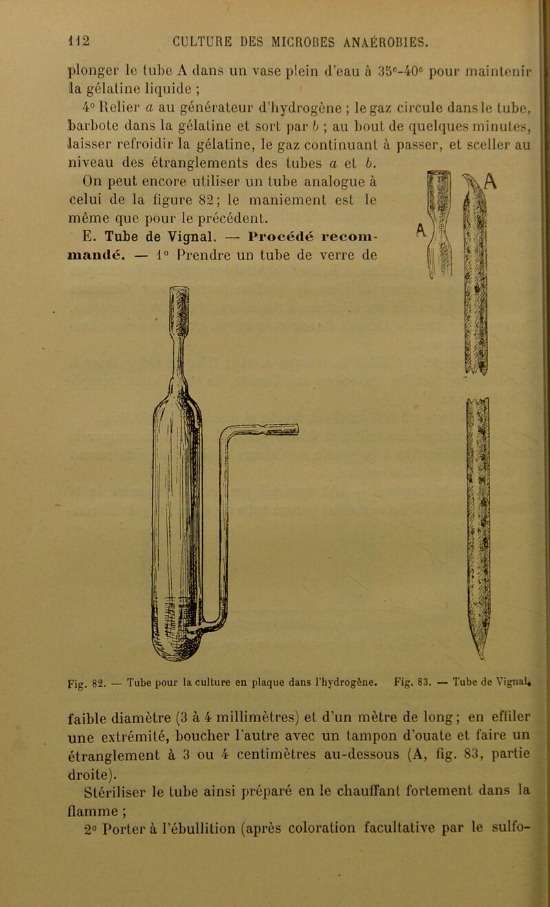 plonger le tube A clans un vase plein d’eau à 35c-40c pour maintenir la gélatine liquide ; 4° Relier a au générateur d’hydrogène ; le gaz circule dans le tube, barbote dans la gélatine et sort par b ; au bout de quelques minutes, laisser refroidir la gélatine, le gaz continuant à passer, et sceller au niveau des étranglements des tubes a et b. On peut encore utiliser un tube analogue à celui de la figure 82; le maniement est le même que pour le précédent. E. Tube de Vignal. — Procédé recom- mandé. — 1° Prendre un tube de verre de Fig. 82. — Tube pour la culture en plaque dans l’hydrogène. Fig. 83. — Tube de Vignal» faible diamètre (3 à 4 millimètres) et d’un mètre de long; en effiler une extrémité, boucher l'autre avec un tampon d’ouate et faire un étranglement à 3 ou 4 centimètres au-dessous (A, fig. 83, partie droite). Stériliser le tube ainsi préparé en le chauffant fortement dans la flamme ; 2° Porter à l’ébullition (après coloration facultative par le sulfo-