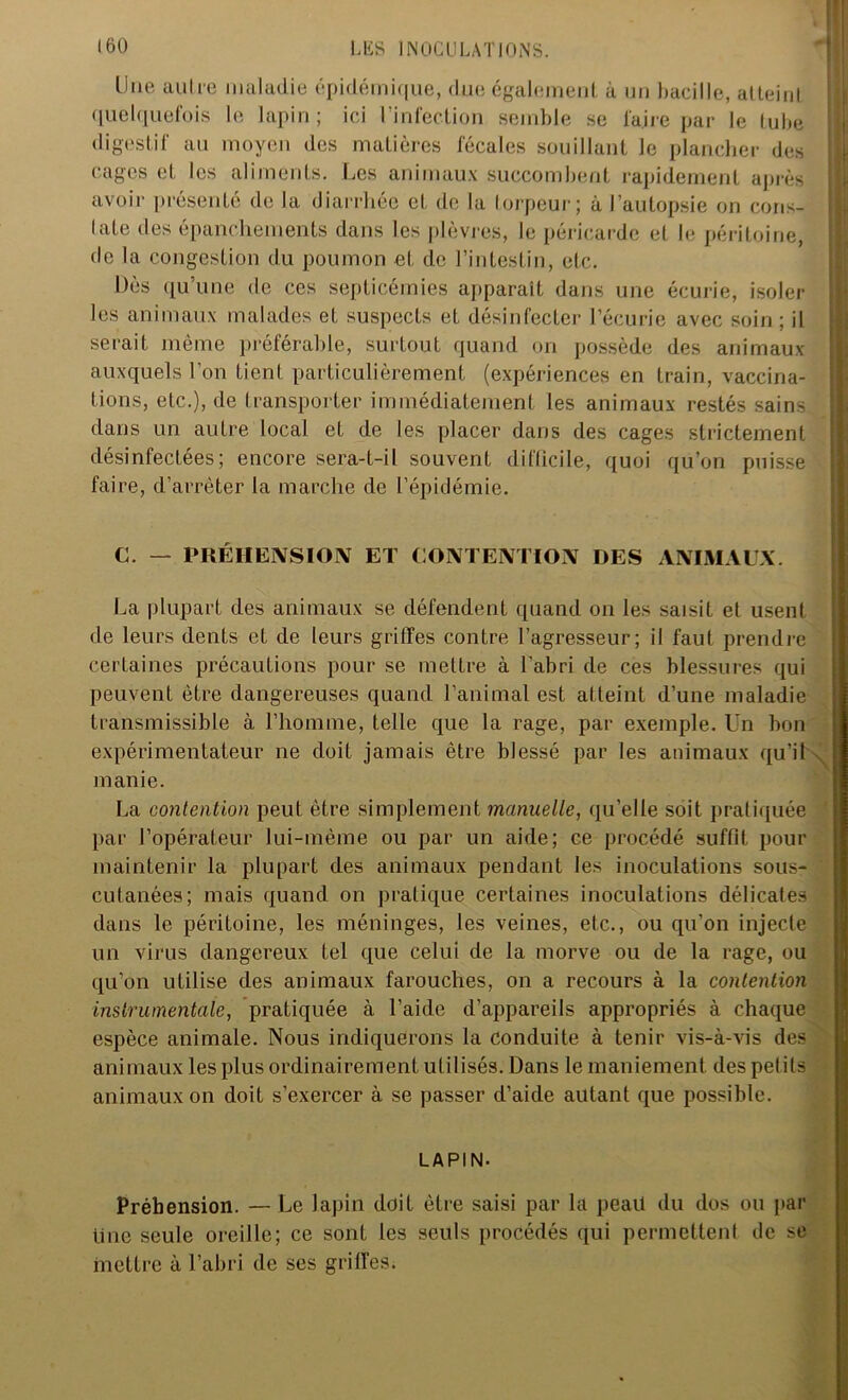 Une au Ire maladie épidémique, due également à un bacille, atteint quelquefois le lapin; ici l’infection semble se faire par le tube digestif au moyen des matières fécales souillant le plancher des cages et les aliments. Les animaux succombent rapidement après avoir présenté de la diarrhée et de la torpeur; à J’autopsie on eoris- lafe des épanchements dans les plèvres, le péricarde et le péritoine, de la congestion du poumon et de l’intestin, etc. Dès qu’une de ces septicémies apparaît dans une écurie, isoler les animaux malades et suspects et désinfecter l’écurie avec soin ; il serait même préférable, surtout quand on possède des animaux auxquels l’on tient particulièrement (expériences en train, vaccina- tions, etc.), de transporter immédiatement les animaux restés sains dans un autre local et de les placer dans des cages strictement désinfectées; encore sera-t-il souvent difficile, quoi qu’on puisse faire, d’arrêter la marche de l’épidémie. C. — PRÉHENSION ET CONTENTION DES ANIMAUX. La plupart des animaux se défendent quand on les saisit et usent de leurs dents et de leurs griffes contre l’agresseur; il faut prendre certaines précautions pour se mettre à l’abri de ces blessures qui peuvent être dangereuses quand l’animal est atteint d’une maladie transmissible à l’homme, telle que la rage, par exemple. Un bon expérimentateur ne doit jamais être blessé par les animaux qu’il manie. La contention peut être simplement manuelle, qu’elle soit pratiquée par l’opérateur lui-même ou par un aide; ce procédé suffit, pour maintenir la plupart des animaux pendant les inoculations sous- cutanées; mais quand on pratique certaines inoculations délicates dans le péritoine, les méninges, les veines, etc., ou qu’on injecte un virus dangereux tel que celui de la morve ou de la rage, ou qu’on utilise des animaux farouches, on a recours à la contention instrumentale, pratiquée à l’aide d’appareils appropriés à chaque espèce animale. Nous indiquerons la conduite à tenir vis-à-vis des animaux les plus ordinairement utilisés. Dans le maniement des petits animaux on doit s’exercer à se passer d’aide autant que possible. LAPIN. Préhension. — Le lapin doit être saisi par la peail du dos ou par fine seule oreille; ce sont les seuls procédés qui permettent de se mettre à l’abri de ses griffes.