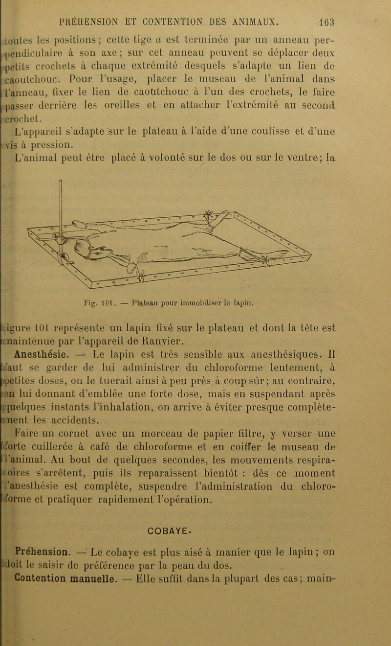 toutes les positions; cette tige a est terminée par un anneau per- pendiculaire à son axe ; sur cet anneau peuvent se déplacer deux petits crochets à chaque extrémité desquels s’adapte un lien de caoutchouc. Pour l'usage, placer le museau de l’animal dans l’anneau, fixer le lien de caoutchouc à l’un des crochets, le l'aire passer derrière les oreilles et en attacher l’extrémité au second crochet. L’appareil s’adapte sur le plateau à l’aide d’une coulisse et d’une vis à pression. L’animal peut être placé à volonté sur le dos ou sur le ventre; la igure 101 représente un lapin fixé sur le plateau et dont la tête est maintenue par l’appareil de Ranvier. Anesthésie. — Le lapin est très sensible aux anesthésiques. 11 faut se garder de lui administrer du chloroforme lentement, à ■petites doses, on le tuerait ainsi à peu près à coup sûr; au contraire, m lui donnant d’emblée une forte dose, mais en suspendant après [quelques instants l’inhalation, on arrive à éviter presque complète- ment les accidents. Faire un cornet avec un morceau de papier filtre, y verser une forte cuillerée à café de chloroforme et en coiffer le museau de l'animal. Au bout de quelques secondes, les mouvements respira- toires s’arrêtent, puis ils reparaissent bientôt: dès ce moment 'anesthésie est complète, suspendre l’administration du chloro- forme et pratiquer rapidement l’opération. COBAYE. Préhension. —' Le cobaye est plus aisé à manier que le lapin ; on doit le saisir de préférence par la peau du dos. Contention manuelle. — Elle suffit dans la plupart des cas; main-