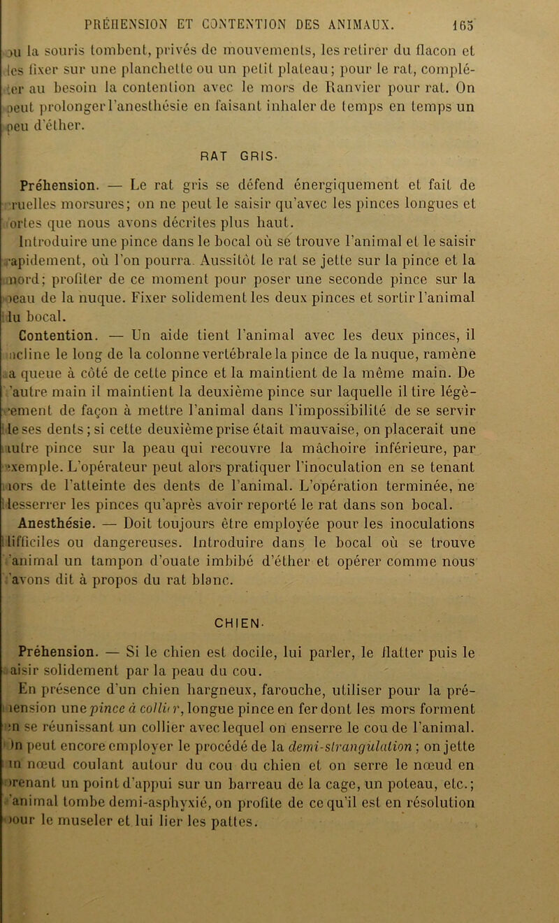 xi la souris tombent, privés de mouvements, les retirer du flacon et les fixer sur une planchette ou un petit plateau; pour le rat, complé- ter au besoin la contention avec le mors de Ranvier pour rat. On peut prolonger l’anesthésie en faisant inhaler de temps en temps un peu d’éther. RAT GRIS- Préhension. — Le rat gris se défend énergiquement et fait de ruelles morsures; on ne peut le saisir qu’avec les pinces longues et orles que nous avons décrites plus haut. Introduire une pince dans le bocal où se trouve l’animal et le saisir rapidement, où l’on pourra. Aussitôt le rat se jeLte sur la pince et la nord; profiter de ce moment pour poser une seconde pince sur la leau de la nuque. Fixer solidement les deux pinces et sortir l’animal lu bocal. Contention. — Un aide tient l’animal avec les deux pinces, il incline le long de la colonne vertébrale la pince de la nuque, ramène a queue à côté de cette pince et la maintient de la même main. De 'autre main il maintient la deuxième pince sur laquelle il tire légè- ■ement de façon à mettre l’animal dans l’impossibilité de se servir ! le ses dents ; si cette deuxième prise était mauvaise, on placerait une mire pince sur la peau qui recouvre la mâchoire inférieure, par exemple. L'opérateur peut alors pratiquer l’inoculation en se tenant îors de l’atteinte des dents de l’animal. L’opération terminée, ne lesserrer les pinces qu'après avoir reporté le rat dans son bocal. Anesthésie. — Doit toujours être employée pour les inoculations lifficiles ou dangereuses. Introduire dans le bocal où se trouve animal un tampon d’ouate imbibé d’éther et opérer comme nous avons dit à propos du rat blanc. CHIEN- Préhension. — Si le chien est docile, lui parler, le flatter puis le aisir solidement par la peau du cou. En présence d'un chien hargneux, farouche, utiliser pour la pré- ! îension une pince à collûr, longue pince en fer dont les mors forment ;n se réunissant un collier avec lequel on enserre le cou de l’animal. • )n peut encore employer le procédé de la demi-strangulation ; on jette ; in nœud coulant autour du cou du chien et on serre le nœud en nrenant un point d’appui sur un barreau de la cage, un poteau, etc.; animal tombe demi-asphyxié, on profite de ce qu’il est en résolution »our le museler et lui lier les pattes.