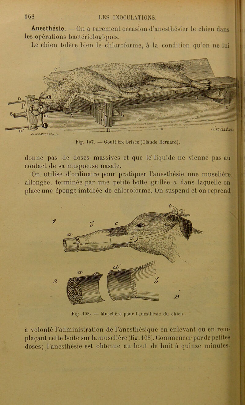 Anesthésie. — On a rarement occasion d’anesthésier le chien dans les opérations bactériologiques. Le chien tolère Lien le chloroforme, à la condition qu’on ne lui LEVCILLCMl t. vERMOËCKEI/.SC Fig. Iu7. — Gouttière brisée (Claude Bernard). donne pas de doses massives et que le liquide ne vienne pas au contact de sa muqueuse nasale. On utilise d’ordinaire pour pratiquer l’anesthésie une muselière allongée, terminée par une petiLe boite grillée a dans laquelle on place une éponge imbibée de chloroforme. On suspend et on reprend .2 Fig. 108. — Muselière pour l'anesthésie du chien. à volonté l’administration de l’anesthésique en enlevant ou en rem- plaçant celle boite sur lamuselière (fîg. 108}. Commencer parde petites doses; l’anesthésie est obtenue au bout de huit à quinze minutes.