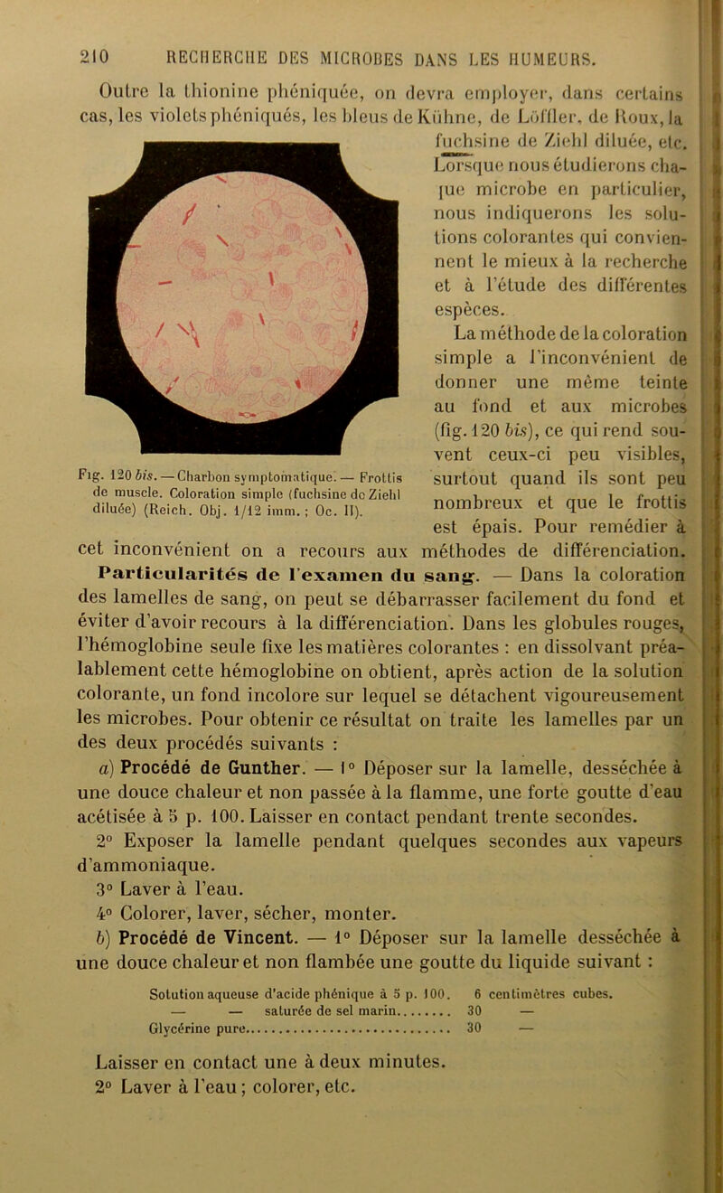 Outre la thionine phéniquée, on devra employer, dans certains cas, les violetsphéniqués, les bleus de Kühne, de Lôffler, de Houx, la fuchsine de Ziehl diluée, etc. Lorsque nous étudierons cha- îne microbe en particulier, nous indiquerons les solu- tions colorantes qui convien- nent le mieux à la recherche et à l'étude des différentes espèces. La méthode de la coloration simple a l'inconvénient de donner une même teinte au fond et aux microbes (fig. 120 bis), ce qui rend sou- vent ceux-ci peu visibles, surtout quand ils sont peu nombreux et que le frottis est épais. Pour remédier à cet inconvénient on a recours aux méthodes de différenciation. Particularités de l’examen du sang. — Dans la coloration des lamelles de sang, on peut se débarrasser facilement du fond et éviter d’avoir recours à la différenciation. Dans les globules rouges, l’hémoglobine seule fixe les matières colorantes : en dissolvant préa- lablement cette hémoglobine on obtient, après action de la solution colorante, un fond incolore sur lequel se détachent vigoureusement les microbes. Pour obtenir ce résultat on traite les lamelles par un des deux procédés suivants : a) Procédé de Gunther. — 1° Déposer sur la lamelle, desséchée à une douce chaleur et non passée à la flamme, une forte goutte d'eau acétisée à S p. 100. Laisser en contact pendant trente secondes. 2° Exposer la lamelle pendant quelques secondes aux vapeurs d’ammoniaque. 3° Laver à l’eau. 4° Colorer, laver, sécher, monter. b) Procédé de Vincent. — 1° Déposer sur la lamelle desséchée à une douce chaleur et non flambée une goutte du liquide suivant : Sotutionaqueuse d’acide phénique à 5 p. )00. 6 centimètres cubes. — — saturée de sel marin 30 — Glycérine pure 30 — Fig. 120 bis. — Charbon symptomatique.— Frottis de muscle. Coloration simple (fuchsine de Ziehl diluée) (Reich. Obj. 1/12 imm. ; Oc. II). Laisser en contact une à deux minutes. 2° Laver à l’eau ; colorer, etc.