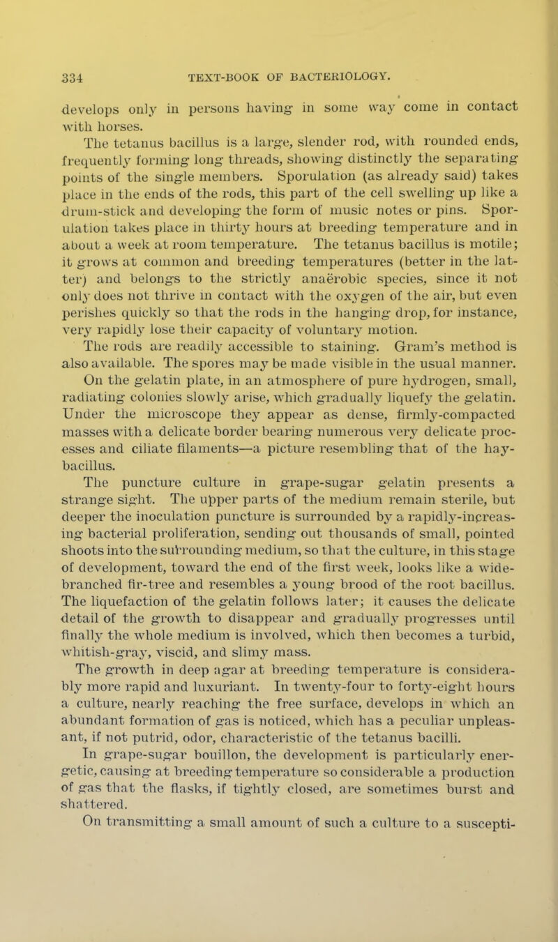develops only in persons having- in some way come in contact with horses. The tetanus bacillus is a large, slender rod, with rounded ends, frequently forming long threads, showing distinctly the separating points of the single members. Sporulation (as already said) takes place in the ends of the rods, this part of the cell swelling up like a drum-stick and developing the form of music notes or pins. Spor- ulation takes place in thirty hours at breeding temperature and in about a week at room temperature. The tetanus bacillus is motile; it grows at common and breeding temperatures (better in the lat- ter; and belongs to the strictly' anaerobic species, since it not 011I3’ does not thrive 111 contact with the oxygen of the air, but even perishes quickly so that the rods in the hanging drop, for instance, veiy rapidly' lose their capacity of voluntaiw motion. The rods are readil^^ accessible to staining. Gram’s method is also available. The spores ma^’- be made visible in the usual manner. On the gelatin plate, in an atmosphere of pure h^’drogen, small, radiating colonies slowty arise, which gradualh^ liquef3' the gelatin. Under the microscope the^^ appear as dense, firmty-compacted masses with a delicate border bearing numerous very delicate proc- esses and ciliate filaments—a picture resembling that of the haj’-- bacillus. The imncture culture in grape-sugar gelatin presents a strange sight. The upper parts of the medium remain sterile, but deeper the inoculation puncture is surrounded bj^ a rapidty-inpreas- ing bacterial proliferation, sending out thousands of small, pointed shoots into the surrounding medium, so that the culture, in this stage of development, toward the end of the first week, looks like a wide- branched fir-tree and resembles a jmung brood of the root bacillus. The liquefaction of the gelatin follows later; it causes the delicate detail of the growth to disappear and graduall,y progresses until finall} the whole medium is involved, Avhich then becomes a turbid, whitish-graj’, viscid, and slim.y mass. The growth in deep agar at breeding temperature is considera- bly more rapid and luxuriant. In twenty-four to forty-eight hours a culture, nearl.y reaching the free surface, develops in which an abundant formation of gas is noticed, which has a peculiar unpleas- ant, if not putrid, odor, characteristic of the tetanus bacilli. In grape-sugar bouillon, the development is particularly^ ener- getic, causing at breeding temperature so considerable a production of gas that the flasks, if tightly closed, are sometimes burst and shattered. On transmitting a small amount of such a culture to a suscepti-