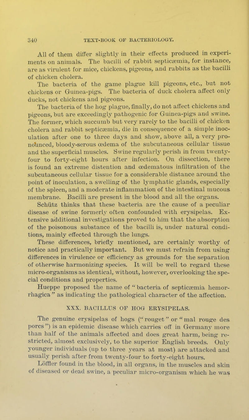 All of them differ slightly in their effects produced in experi- ments on animals. The bacilli of rabbit septicmmia, for instance, are as virulent for mice, chickens, pigeons, and rabbits as the bacilli of chicken cholera. The bacteria of the game plague kill pigeons, etc., but not chickens or Guinea-pigs. The bacteria of duck cholera affect only ducks, not chickens and pigeons. The bacteria of the hog plague, finally, do not affect chickens and pigeons, but are exceedingly pathogenic for Guinea-pigs and swine. The former, which succumb but very rarely to the bacilli of chicken cholera and rabbit septicaemia, die in consequence of a simple inoc- ulation after one to three days and show, above all, a very pro- nounced, bloody-serous oedema of the subcutaneous cellular tissue and the superficial muscles. Swine regularly perish in from twenty- four to forty-eight hours after infection. On dissection, there is found an extreme distention and oedematous infiltration of the subcutaneous cellular tissue for a considerable distance around the point of inoculation, a swelling of the lymphatic glands, especially of the spleen, and a moderate inflammation of the intestinal mucous membrane. Bacilli are present in the blood and all the organs. Schiitz thinks that these bacteria are the cause of a peculiar disease of swine formerly often confounded with erysipelas. Ex- tensive additional investigations proved to him that the absorption of the poisonous substance of the bacilli is, under natural condi- tions, mainly effected through the lungs. These differences, briefly mentioned, are certainly worthy of notice and practically important. But we must refrain from using differences in virulence or efficiency as grounds for the separation of otherwise harmonizing species. It will be well to regard these micro-organisms as identical, without, however, overlooking the spe- cial conditions and properties. Hueppe proposed the name of bacteria of septicaemia hemor- rhagica ” as indicating the pathological character of the affection. XXX. BACILLUS OF HOG ERYSIPELAS. The genuine erysipelas of hogs (‘G'ouget” or'Gnal rouge des pores”) is an epidemic disease which carries off in Germany more than half of the animals affected and does great harm, being re- stricted, almost exclusively, to the superior English breeds. Onl.y younger individuals (up to three years at most) are attacked and usually perish after from twenty-four to forty-eight hours. Lolfler found in the blood, in all organs, in the muscles and skin of diseased or dead swine, a peculiar micro-organism which he was