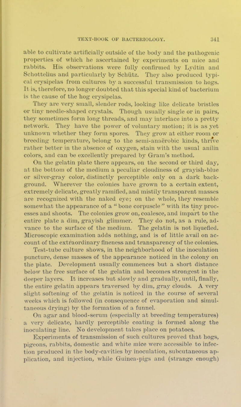 able to cultivate artificiall}’' outside of the body and the pathog'enic properties of which he ascertained by experiments on mice and rabbits. His observations were fully confirmed 1)3' Lsaltin and Schottelius and particularl3' b3' Schutz. Tlie}' also produced t3'pi- cal eiysipelas from cultures b}' a successful transmission to hogs. It is, therefore, no longer doubted that this special kind of bacterium is the cause of the hog eiysipelas. The\' are veiy small, slender rods, looking like delicate bristles or tiiw needle-shaped ciystals. Though usuall3' single or in pairs, the3’ sometimes form long threads, and ma}' interlace into a prett}^ network. The3^ have the power of voluntaiy motion; it is as 3'et unknown whether the3' form spores. The3' grow at either room or breeding temperature, belong to the semi-anaerobic kinds, thrive rather better in the absence of ox3’gen, stain with the usual anilin colors, and can be excellentl3' prepared 1)3’- Gram’s method. On the gelatin plate there appears, on the second or third da3', at the bottom of the medium a peculiar cloudiness of gra3'ish-blue or silver-gra3'’ color, distinctly perceptible only on a dark back- ground. Wherever the colonies have grown to a certain extent, extremel3' delicate, greatl3^ ramified, and mistil3' transparent masses are recognized with the naked e3'e; on the whole, the3' resemble somewhat the appearance of a “bone corpuscle” with its tin3^ proc- esses and shoots. The colonies grow on, coalesce, and impart to the entire plate a dim, gra3’ish glimmer. The3' do not, as a rule, ad- vance to the surface of the medium. The gelatin is not liquefied. Microscopic examination adds nothing, and is of little avail on ac- count of the extraordinar3’ fineness and transparenc3^ of the colonies. Test-tube culture shows, in the neighborhood of the inoculation puncture, dense masses of the appearance noticed in the colony on the plate. Development usually commences but a short distance below the free surface of the gelatin and becomes strongest in the deeper layers. It increases but slowly and graduall3', until, finall3', the entire gelatin appears traversed b3^ dim, gra3' clouds. A veiy slight softening of the gelatin is noticed in the course of several weeks which is followed (in consequence of evaporation and simul- taneous dr3ung) 1)3’- the formation of a funnel. On agar and blood-serum (especially at breeding temperatures) a veiy delicate, hardl3' perceptible coating is formed along the inoculating line. No development takes place on potatoes. Experiments of transmission of such cultures ]iroved that hogs, pigeons, rabbits, domestic and white mice were accessible to infec- tion produced in the body-cavities b3’’ inoculation, subcutaneous ap- plication, and injection, while Guinea-pigs and (strange enough)