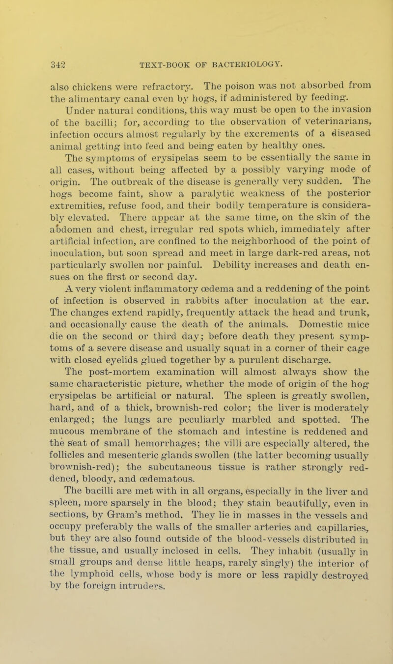 also chickens were ^efractor3^ The poison was not absorbed from the alimentary canal even by hogs, if administered by feeding. Under natural conditions, this way jnust be open to the invasion of the bacilli; for, according to the observation of veterinarians, infection occurs almost regularly by the excrements of a diseased animal getting into feed and being eaten by healthy ones. The symptoms of erysipelas seem to be essentially the same in all cases, without being alfected b3^ a possibly varying mode of origin. The outbreak of the disease is general^ ver3' sudden. The hogs become faint, show a paralytic weakness of the posterior extremities, refuse food, and their bodily temperature is considera- bly elevated. There appear at the same time, on the skin of the atidomen and chest, irregular red spots which, immediately after artificial infection, are confined to the neighborhood of the point of inoculation, but soon spread and meet in large dark-red areas, not particularly swollen nor painful. Debility increases and death en- sues on the first or second day. A very violent infiammatory oedema and a reddening of the point of infection is observed in rabbits after inoculation at the ear. The changes extend rapidly, frequently attack the head and trunk, and occasionally cause the death of the animals. Domestic mice die on the second or third day; before death they present symp- toms of a sev^ere disease and usually squat in a corner of their cage with closed eyelids glued together by a purulent discharge. The post-mortem examination will almost always show the same characteristic picture, whether the mode of origin of the hog erj^sipelas be artificial or natural. The spleen is greatly swollen, hard, and of a thick, brownish-red color; the liver is moderately enlarged; the lungs are peculiarly marbled and spotted. The mucous membrane of the stomach and intestine is reddened and the seat of small hemorrhages; the villi are especially altered, the follicles and mesenteric glands swollen (the latter becoming usually brownish-red); the subcutaneous tissue is rather strongl}’' red- dened, bloody, and oedematous. The bacilli are met with in all organs, especially in the liver and spleen, more sparsely in the blood; they stain beautifully, even in sections, by Gram’s method. They lie in masses in the vessels and occupy preferably the walls of the smaller arteries and capillaries, but they are also found outside of the blood-vessels distributed in the tissue, and usually inclosed in cells. They inhabit (usualU^ in small groups and dense little heaps, rarely singly) the interior of the lymphoid cells, whose body is more or less rapidl}' destro^^ed by the foreign intruders.
