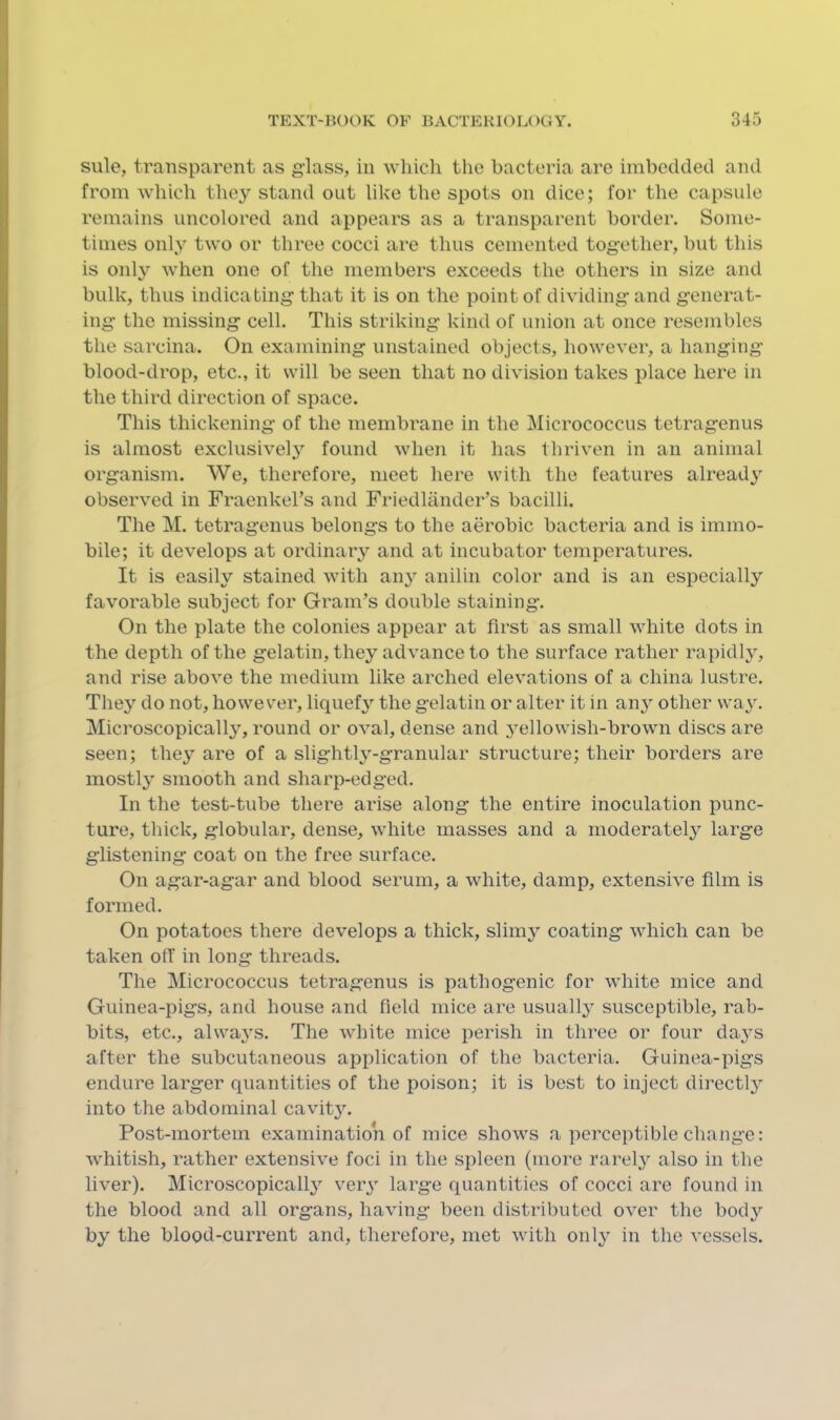 sule, transparent as glass, in Avhich the bacteria are imbedded and from which the}'^ stand out like the spots on dice; for the capsule remains uncolored and appears as a transparent border. Some- times only two or three cocci are thus cemented together, but this is onlj'' when one of the members exceeds the others in size and bulk, thus indicating that it is on the point of dividing and generat- ing the missing cell. This striking kind of union at once resembles the sarcina. On examining unstained objects, however, a hanging blood-drop, etc., it will be seen that no division takes place here in the third direction of space. This thickening’ of the membrane in the Micrococcus tetragenus is almost exclusive!.y found when it has thriven in an animal organism. We, therefore, meet here with the features already' observed in Fraenkel’s and Friedliinder’s bacilli. The M. tetragenus belongs to the aerobic bacteria and is immo- bile; it develops at ordinary and at incubator temperatures. It is easily stained with any anilin color and is an especially favorable subject for Gram’s double staining. On the plate the colonies appear at first as small white dots in the depth of the gelatin, they advance to the surface rather rapidly, and rise above the medium like arched elevations of a china lustre. They do not, however, liquefy the gelatin or alter it in any other wa3. Microscopically, round or oval, dense and yellowish-brown discs are seen; they are of a slightly-granular structure; their borders are mostly smooth and sharp-edged. In the test-tube there arise along the entire inoculation punc- ture, tliick, globular, dense, white masses and a moderatelj^ large glistening coat on the free surface. On agar-agar and blood serum, a white, damp, extensive film is formed. On potatoes there develops a thick, slimy coating which can be taken off in long threads. The Micrococcus tetragenus is pathogenic for white mice and Guinea-pigs, and house and field mice are usually susceptible, rab- bits, etc., always. The white mice perish in three or four da3’S after the subcutaneous application of the bacteria. Guinea-pigs endure larger quantities of the poison; it is best to inject direct!}^ into the abdominal cavify. Post-mortem examination of mice shows a perceptible cliaiige: whitish, rather extensive foci in the spleen (more rarefy also in the liver). Microscopicalfy verj large quantities of cocci are found in the blood and all organs, having been distributed over the bod}’’ by the blood-current and, therefore, met with 011I3 in the vessels.