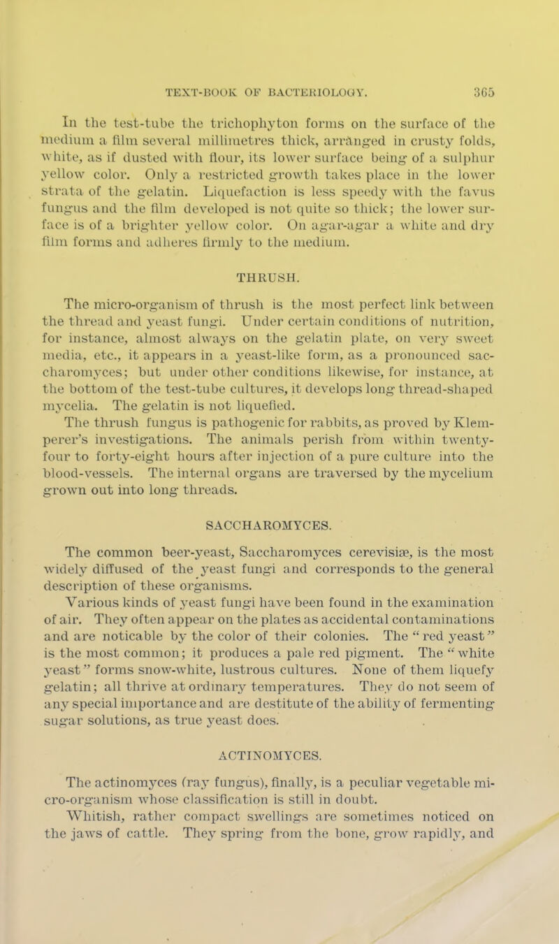 111 the test-tube the trichophj'toii forms on the surface of tlie medium a film several millimetres thick, arranged in crusty folds, ■white, as if dusted with flour, its lower surface being’ of a sulphur yellow color. Onl}’^ a restricted growth takes place in the lower strata of the gelatin. Liquefaction is less speedy with the favus fungus and the film developed is not quite so thick; the lower sur- face is of a brighter yellow color. On agar-agar a white and dry film forms and adheres lirnily to the medium. THRUSH. The micro-organism of thrush is the most perfect link between the thread and yeast fungi. Under certain conditions of nutrition, for instance, almost always on the gelatin plate, on veiy sweet media, etc., it appears in a yeast-like form, as a pronounced sac- charomyces; but under other conditions likewise, for instance, at the bottom of the test-tube cultures, it develops long- thread-shaped mycelia. The gelatin is not liquefied. The thrush fungus is pathogenic for rabbits, as proved by Klem- perer’s investigations. The animals perish from within twenty- four to forty-eight hours after injection of a pure culture into the blood-vessels. The internal organs are traversed by the m^'^celium grown out into long threads. SACCHAROMYCES. The common heer-yeast, Saccharom3ces cerevisiae, is the most widely diffused of the 3east fungi and corresponds to the general description of these organisms. Various kinds of yeast fungi have been found in the examination of air. They often appear on the plates as accidental contaminations and are noticable by the color of their colonies. The “ red yeast ” is the most common; it produces a pale red pigment. The ‘Svhite yeast” forms snow-white, lustrous cultures. None of them liquefy gelatin; all thrive at ordinary temperatures. They do not seem of any special importance and are destitute of the ability of fermenting sugar solutions, as true \^east does. ACTINOMYCES. The actinomj^ces fray fungus), finally, is a peculiar vegetable mi- cro-organism whose classification is still in doubt. Whitish, rather compact swellings are sometimes noticed on the jaws of cattle. They spring from the bone, grow rapidljq and