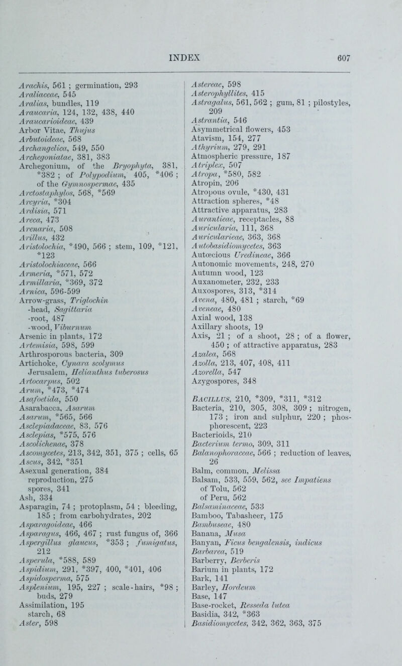 Arachis, 561 ; germination, 293 Araliaceae, 545 Aralias, bundles, 119 Araucaria, 124, 132, 438, 440 Araucarioideae, 439 Arbor Vitae, Thujus Arhutoideae, 568 Archangelica, 549, 550 Archegoniatae, 381, 383 Archegonium, of the Bryophyta, 381, *382 ; of Polypodimn, 405, *406 ; of the Gymnospermae, 435 Arctostaphylos, 568, *569 Arcyria, *304 Ardisia, 571 Areca, 473 Arenaria, 508 AtHIus 432 Aristolochia, *490, 566 ; stem, 109, '121, *123 Aristolochiaceae, 566 Armeria, *571, 572 Armillaria, *369, 372 ^r7^^■ca, 596-599 Arrow-grass, Triglochin -head, Sagittaria -root, 487 -wood, Vihirnum Arsenic in plants, 172 Artemisia, 598, 599 Arthrosporous bacteria, 309 Artichoke, Cynara scolymus Jerusalem, Helianthus tuberosus ArtocarjJus, 502 Aricm, *'473, *474 Asafoetida, 550 Asarabacca, Asarum Asarum, *565, 566 Asclepiadaceae, 83, 576 Asclepias, *575, 576 Ascolichenae, 378 ^sco?P.?/ce^es, 213, 342, 351, 375 ; cells, 65 ^scM5, 342, *351 Asexual generation, 384 reproduction, 275 spores, 341 Ash, 334 Asparagin, 74 ; protoplasm, 54 ; bleeding, 185 ; from carbohydrates, 202 Asparagoideae, 466 Asparagus, 466, 467 ; rust fungus of, 366 Aspergillus glaucus, *353 ; fumigatus, 212 Asperula, *588, 589 Aspidium, 291, *397, 400, *401, 406 Aspidosperma, 575 Asplenium, 195, 227 ; scale-hairs, *98 ; buds, 279 Assimilation, 195 starch, 68 Aster, 598 Astereae, 598 Asterophyllites, 415 Astragalus, 561, 562 ; gum, 81 ; pilostyles, 209 Astrantia, 546 Asymmetrical flowers, 453 Atavism, 154, 277 Athyrium, 279, 291 Atmospheric pressure, 187 A triplex, 507 Atropa, *580, 582 Atropin, 206 Atropous ovule, *430, 431 Attraction spheres, *48 Attractive apparatus, 283 Aurantieae, receptacles, 88 Auricularia, 111, 368 Aurictdarieae, 363, 368 Autohasidiomycetes, 363 ; Autoecious Uredineae, 366 Autonomic movements, 248, 270 Autumn wood, 123 Auxanometer, 232, 233 Auxospores, 313, *314 Avena, 480, 481 ; starch, ''69 Aveneae, 480 Axial wood, 138 Axillary shoots, 19 Axis, 21 ; of a shoot, 28 ; of a flower, 450 ; of attractive apparatus, 283 Azalea, 568 Azolla, 213, 407, 408, 411 Azorella, 547 Azygospores, 348 Bacillus, 210, *309, *311, *312 Bacteria, 210, 305, 308, 309 ; nitrogen, 173 ; iron and sulphur, 220 ; phos- phorescent, 223 Bacterioids, 210 Bacterium termo, 309, 311 Balanophoraceae, 566 ; reduction of leaves, 26 Balm, common, Melissa Balsam, 533, 559, 562, see Impatiens of Tolu, 562 of Peru, 562 Balsaminaceae, 533 Bamboo, Tabasheer, 175 Bambuseae, 480 Banana, Musa Banyan, Ficus bengalensis, indicus Barbarea, 519 Barberry, Berberis Barium in plants, 172 Bark, 141 Barley, Hordeum Base, 147 Base-rocket, Resseda lutea Basidia, 342, ^363 I Basidiomycetes, 342, 362, 363, 375