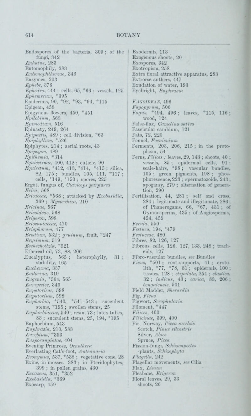 Endospores of the bacteria, 309 ; of tlie fungi, 342 Enhahis, 283 Entoiuophily, 283 EiitoiiKijihtliorecf, 34G Enzymes, 203 Ephehe, 376 Ephedra, 444 ; cells, 65, *66 ; vessels, 125 E})}'Cine I'll 111, *395 Ei-idennis, 90, *92, *93, *94, *115 Epiirean, 458 Epigynous flowers, 450, *451 Epihihiinn, 563 Epiinedium, 516 Ei-inasty, 249, 264 Eplpaciis, 489 ; cell division, *63 Epiphylhnn, *526 Epij)liytes, 214 ; aerial roots, 43 Ep!}>t»j(in, 489 Epithemki, *314 Equi.setinae, 400, 412 ; cuticle, 90 Equisetum, *412, 413, *414, *415 ; silica, 82, 175 ; bundles, 105, 111, *117 ; cells, *149, *150 ; spores, 225 Ergot, f ungus of, CUtvicej)s pviyurea Erica, 568 Ericaceae, *568 ; attacked by Exohasidia, 369 ; Mycorrhiza, 210 Ericinae, 567 Ericoideae, 568 Erif/eron, 598 Eriocavlciceae, 470 Eriophorviii, 477 Erodium, 532 ; gruinum, fruit, ^''247 En/simvIII, 519 Esriischoltzia, *521 Ethereal oil, 73, 88. 206 J^ucalyptus, 565 ; heterophylly, 31 ; stability, 165 Eucheiima, 337 Evdorina, 319 Eiif/enia, *564, 565 Ei'iii/icdcs, 340 Ei'jiiiforieac, 598 Enpatoriinn, 598 Euphorbia, *540, *541-543 ; succulent stems, *195 ; swollen stems, 25 Evphorhiaceae, 540 ; resin, 73 ; latex tubes, 83 ; succulent stems, 25, 194, *195 Euphorbinm, 543 Euphrasia, 210. 583 Eurobium, *353 Ei'sporajigiatae, 404 Evening Primrose, Oenothera Everlasting Cat's-foot, Antennaria Eroni/nii's, 537, *538 ; vegetative cone. 28 Exine, in mosses, 383; in Pteritlophytes, 399 ; in pollen gi-ains. 430 E.roa.sci's, 351, *352 Exo/jusidia, *369 Exocarp, 159 Exoderniis, 113 Exogenous shoots, 20 Exospores, 342 Exotropism. 258 Extra floral attractive ajjparatus, 283 Extrorse anthers, 447 Exudation of water, 193 Eyebright, Eujjhrasia Fagoideae, 496 Fa.ijopiyrnin, 506 Fofjvs, *494, 496; leaves, *115, 116: wood, 124 False-Hax, Canielina satira Fascicular cambium, 121 Fats, 72, 220 Fennel, Foenicvlnm Ferments, 203, 206, 215 : in the proto- plasm, 54 Ferns, Filices ; leaves, 29, 143 ; shoots, 40 : vessels, 85 ; epidermal cells, 91 : scale-hairs, *98; vascular bundles, 105 ; green pigments, 198 ; phos- phorescence, 223 ; spermatozoids, 243 : apogamy, 279 : alternation of genera- tion, 290 Fertilisation, 44, 281 ; self an<l cross, 284 ; legitimate and illegitimate, 286 ; of Phanerogams, 66, *67, 431 ; of Gymuosperms, 435 ; of Angiosperms, 454, 455 Fertda, 550 Festuca, 194, *479 Festnceae, 480 Fibres, 82. 126, 127 Fibrous cells, 126. 127, 133. 248 : trach- eids, 127 Fibro-vascular bundles, see Bundles Ficns, *501 ; root-supports, 41 ; cysto- lith, *77, *7S, 81 : epidermis, 100 : tissues, 128 ; stipidata, 25i : elastica, 32 ; indiciis, 43; carica, 83, 206 : benipdensis, 501 Field Madder, ^herardia Fig, Ficiis Figwort, Scroph id a ria Filament, *447 Filices, 400 Fdicinae, 399, 400 Fir, Norway, Ficea cccelsis Scotch, Finns si/restris Silver, Abies Spruce, Picea Fission-fungi. Sch izunii/cctcs -plants, Schizophifta ; FlaueUa, 242 Flagellar movements, see Cilia Flax, Li man Fleal)ane, Eri;/eroH Floral leaves, 29, 33 shoots. 26