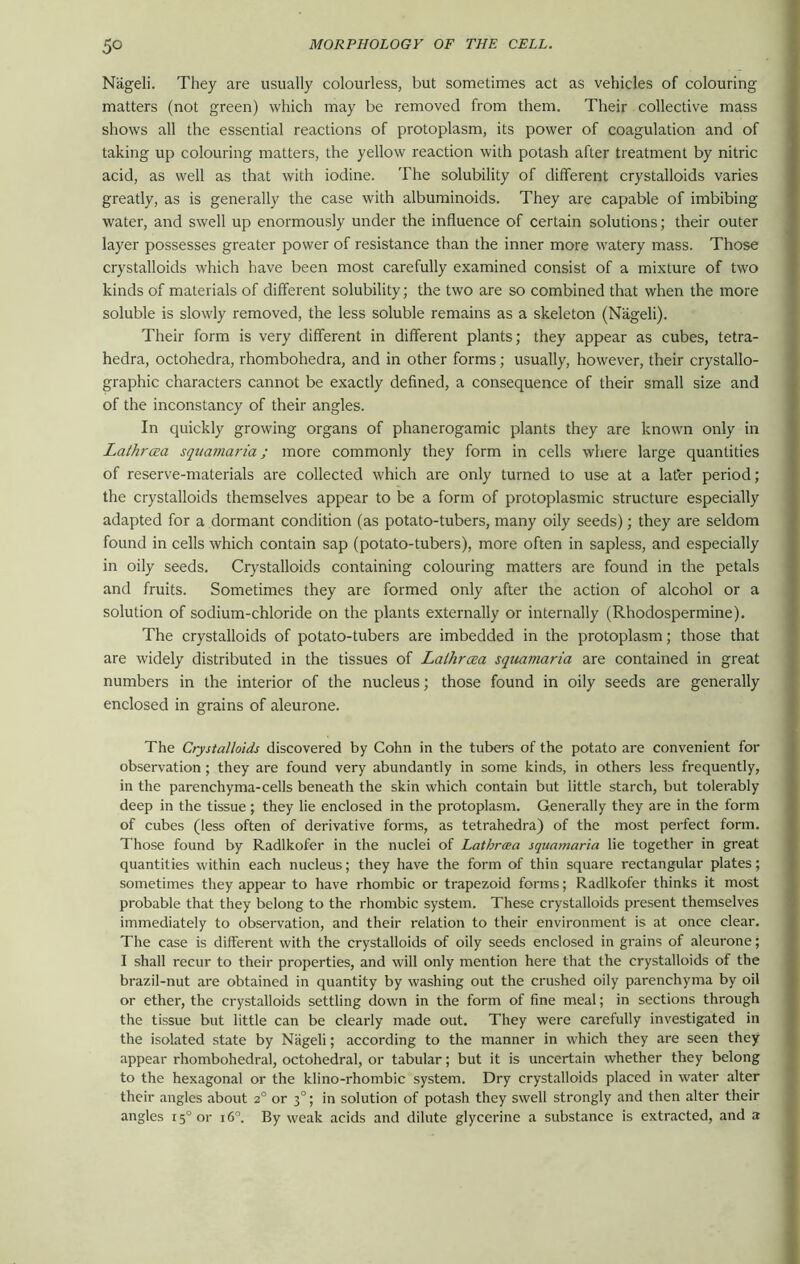 Nageli. They are usually colourless, but sometimes act as vehicles of colouring matters (not green) which may be removed from them. Their collective mass shows all the essential reactions of protoplasm, its power of coagulation and of taking up colouring matters, the yellow reaction with potash after treatment by nitric acid, as well as that with iodine. The solubility of different crystalloids varies greatly, as is generally the case with albuminoids. They are capable of imbibing water, and swell up enormously under the influence of certain solutions; their outer layer possesses greater power of resistance than the inner more watery mass. Those crystalloids which have been most carefully examined consist of a mixture of two kinds of materials of different solubility; the two are so combined that when the more soluble is slowly removed, the less soluble remains as a skeleton (Nageli). Their form is very different in different plants; they appear as cubes, tetra- hedra, octohedra, rhombohedra, and in other forms; usually, however, their crystallo- graphic characters cannot be exactly defined, a consequence of their small size and of the inconstancy of their angles. In quickly growing organs of phanerogamic plants they are known only in Lathrcea squamaria; more commonly they form in cells where large quantities of reserve-materials are collected which ax-e only turned to use at a later period; the crystalloids themselves appear to be a form of protoplasmic structure especially adapted for a dormant condition (as potato-tubers, many oily seeds); they are seldom found in cells which contain sap (potato-tubers), more often in sapless, and especially in oily seeds. Crystalloids containing colouring matters are found in the petals and fruits. Sometimes they are formed only after the action of alcohol or a solution of sodium-chloride on the plants externally or internally (Rhodospermine). The crystalloids of potato-tubers are imbedded in the protoplasm; those that are widely distributed in the tissues of Lalhrcea squamaria are contained in great numbers in the interior of the nucleus; those found in oily seeds are generally enclosed in grains of aleurone. The Crystalloids discovered by Cohn in the tubers of the potato are convenient for observation; they are found very abundantly in some kinds, in others less frequently, in the parenchyma-cells beneath the skin which contain but little starch, but tolerably deep in the tissue ; they lie enclosed in the protoplasm. Generally they are in the form of cubes (less often of derivative forms, as tetrahedra) of the most perfect form. Those found by Radlkofer in the nuclei of Latbrcea squamaria lie together in great quantities within each nucleus; they have the form of thin square rectangular plates; sometimes they appear to have rhombic or trapezoid forms; Radlkofer thinks it most probable that they belong to the rhombic system. These crystalloids present themselves immediately to observation, and their relation to their environment is at once clear. The case is different with the crystalloids of oily seeds enclosed in grains of aleurone; I shall recur to their properties, and will only mention here that the crystalloids of the brazil-nut are obtained in quantity by washing out the crushed oily parenchyma by oil or ether, the crystalloids settling down in the form of fine meal; in sections through the tissue but little can be clearly made out. They were carefully investigated in the isolated state by Nageli; according to the manner in which they are seen they appear rhombohedral, octohedral, or tabular; but it is uncertain whether they belong to the hexagonal or the klino-rhombic system. Dry crystalloids placed in water alter their angles about 20 or 30; in solution of potash they swell strongly and then alter their angles i5°or 160. By weak acids and dilute glycerine a substance is extracted, and a