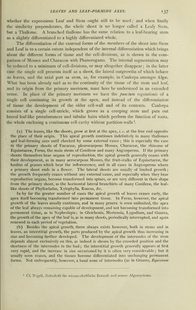whether the expressions Leaf and Stem ought still to be used ; and when finally the similarity preponderates, the whole shoot is no longer called a Leafy Stem, but a Thallome. A branched thallome has the same relation to a leaf-bearing stem as a slightly differentiated to a highly differentiated whole. The differentiation of the external forms of the members of the shoot into Stem and Leaf is to a certain extent independent of the internal differentiation which brings about the different forms of tissue and the cell-divisions, as is shown in the com- parison of Mosses and Characeae with Phanerogams. The internal segmentation may be reduced to a minimum of cell-divisions, or may altogether disappear; in the latter case the single cell presents itself as a shoot, the lateral outgrowths of which behave as leaves, and the axial part as stem, as, for example, in Caulerpa amongst Algae. What has been already said as to the continuity of the tissue of the stem and leaf, and its origin from the primary meristem, must here be understood in an extended sense. In place of the primary meristem we have the puncium vegeiationis of a single cell continuing its growth at the apex, and instead of the differentiation of tissue the development of the older cell-wall and of its contents. Caulerpa consists of a single cell-utricle, which grows as a creeping stem and puts out lateral leaf-like protuberances and tubular hairs which perform the function of roots, the whole enclosing a continuous cell-cavity without partition-walls1. (a) The leaves, like the shoots, grow at first at the apex, i. e. at the free end opposite the place of their origin. This apical growth continues indefinitely in many thallomes ajid leaf-forming axes until checked by some external cause; this is especially the case in the primary shoots of Fucaceae, pleurocarpous Mosses, Characeae, the rhizome of Equisetaceae, Ferns, the main stems of Coniferae and many Angiosperms. If the primary shoots themselves bear organs of reproduction, the apical growth generally ceases with their development, as in many acrocarpous Mosses, the fruit-stalks of Equisetaceae, the haulms of grasses which bear the inflorescence, and in all cases in Angiosperms where a primary shoot ends in a flower. The lateral shoots are usually of limited growth; the growth frequently ceases without any external cause, and especially when they bear reproductive organs, become transformed into spines, or are very different in their shape from the primary shoot, as the horizontal lateral branchlets of many Coniferae, the leaf- like shoots of Phyllocladus, Xylophylla, Ruscus, &c. In by far the greater number of cases the apical growth of leaves ceases early, the apex itself becoming transformed into permanent tissue. In Ferns, however, the apical growth of the leaves usually continues, and in many genera is even unlimited, the apex of the leaf always remaining capable of development, and not becoming transformed into permanent tissue, as in Nephrolepis; in Gleichenia, Mertensia, Lygodium, and Guarea, the growth of the apex of the leaf is, as in many shoots, periodically interrupted, and again renewed in each period of vegetation. (b) Besides the apical growth, there always exists however, both in stems and in leaves, an interstitial growth, the parts produced by the apical growth thus increasing in size and becoming further developed. The development of the internodes of the stem depends almost exclusively on this, as indeed is shown by the crowded position and the shortness of the internodes in the bud; the interstitial growth generally appears at first very rapid, and the increase in size occasioned by it is often very considerable ; but it usually soon ceases, and the tissues become differentiated into unchanging permanent forms. Not unfrequently, however, a basal zone of internodes (as in Grasses, Equisetum 1 Cf. N igeli, Zeitschlift fur wissen.-chaftliche Bolanik und neuere Algensysteme.