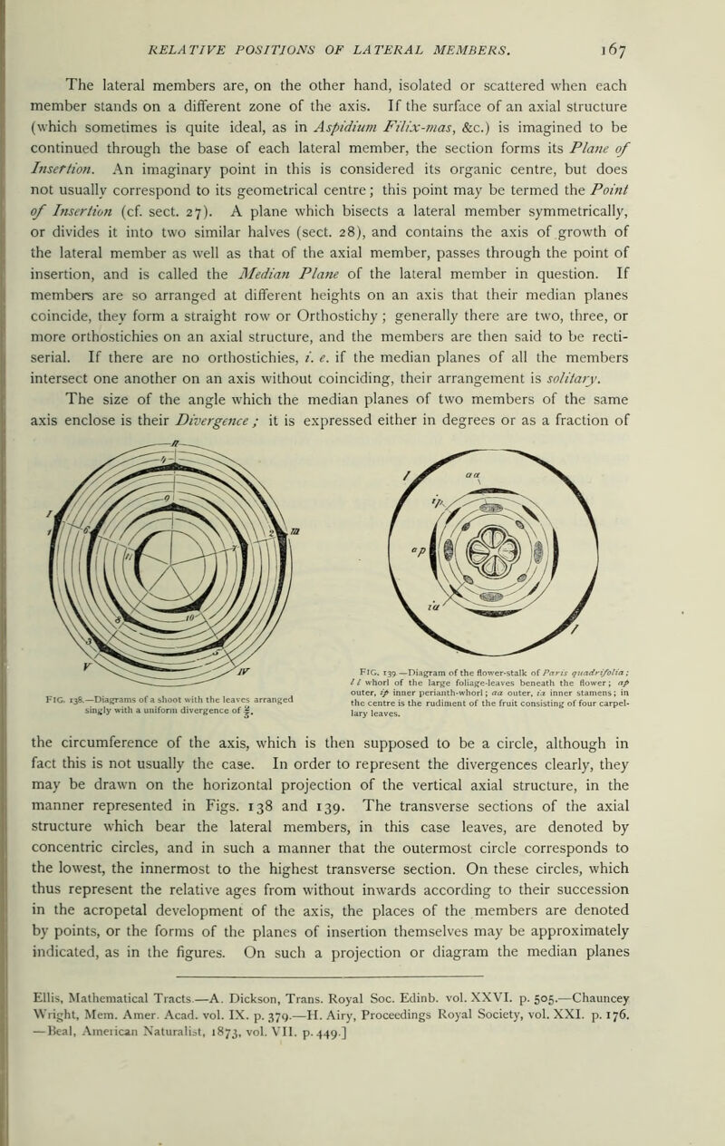 The lateral members are, on the other hand, isolated or scattered when each member stands on a different zone of the axis. If the surface of an axial structure (which sometimes is quite ideal, as in Aspidium Filix-mas, &c.) is imagined to be continued through the base of each lateral member, the section forms its Plane of Insertion. An imaginary point in this is considered its organic centre, but does not usually correspond to its geometrical centre; this point may be termed the Point of Insertion (cf. sect. 27). A plane which bisects a lateral member symmetrically, or divides it into two similar halves (sect. 28), and contains the axis of growth of the lateral member as well as that of the axial member, passes through the point of insertion, and is called the Median Plane of the lateral member in question. If members are so arranged at different heights on an axis that their median planes coincide, they form a straight row or Orthostichy; generally there are two, three, or more orthostichies on an axial structure, and the members are then said to be recti- serial. If there are no orthostichies, i. e. if the median planes of all the members intersect one another on an axis without coinciding, their arrangement is solitary. The size of the angle which the median planes of two members of the same axis enclose is their Divergence ; it is expressed either in degrees or as a fraction of FIG. 139 —Diagram of the flower-stalk of Paris quadri/olia; 11 whorl of the large foliage-leaves beneath the flower; ap outer, ip inner perianth-whorl; aa outer, ia inner stamens; in the centre is the rudiment of the fruit consisting of four carpel- lary leaves. the circumference of the axis, which is then supposed to be a circle, although in fact this is not usually the case. In order to represent the divergences clearly, they may be drawn on the horizontal projection of the vertical axial structure, in the manner represented in Figs. 138 and 139. The transverse sections of the axial structure which bear the lateral members, in this case leaves, are denoted by concentric circles, and in such a manner that the outermost circle corresponds to the lowest, the innermost to the highest transverse section. On these circles, which thus represent the relative ages from without inwards according to their succession in the acropetal development of the axis, the places of the members are denoted by points, or the forms of the planes of insertion themselves may be approximately indicated, as in the figures. On such a projection or diagram the median planes Ellis, Mathematical Tracts.—A. Dickson, Trans. Royal Soc. Edinb. vol. XXVI. p. 505.—Chauncey Wright, Mem. Amer. Acad. vol. IX. p. 379.—H. Airy, Proceedings Royal Society, vol. XXI. p. 176.