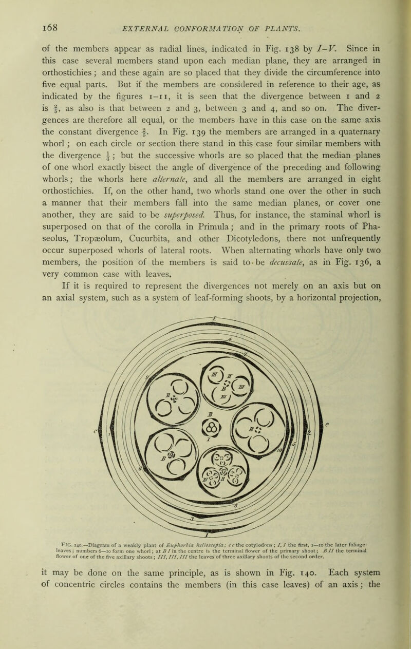 of the members appear as radial lines, indicated in Fig. 138 by I-V. Since in this case several members stand upon each median plane, they are arranged in orthostichies; and these again are so placed that they divide the circumference into five equal parts. But if the members are considered in reference to their age, as indicated by the figures i-ii, it is seen that the divergence between 1 and 2 is f, as also is that between 2 and 3, between 3 and 4, and so on. The diver- gences are therefore all equal, or the members have in this case on the same axis the constant divergence f. In Fig. 139 the members are arranged in a quaternary whorl ; on each circle or section there stand in this case four similar members with the divergence \; but the successive whorls are so placed that the median planes of one whorl exactly bisect the angle of divergence of the preceding and following whorls; the whorls here alternate, and all the members are arranged in eight orthostichies. If, on the other hand, two whorls stand one over the other in such a manner that their members fall into the same median planes, or cover one another, they are said to be superposed. Thus, for instance, the staminal whorl is superposed on that of the corolla in Primula; and in the primary roots of Pha- seolus, Tropaeolum, Cucurbita, and other Dicotyledons, there not unfrequently occur superposed whorls of lateral roots. When alternating whorls have only two members, the position of the members is said to-be decussate, as in Fig. 136, a very common case with leaves. If it is required to represent the divergences not merely on an axis but on an axial system, such as a system of leaf-forming shoots, by a horizontal projection, FIG. 140.—Diagram of a weakly plant of Euphorbia helioscopia; ccthe cotyledons; I, I the first, 1—10 the later foliage- leaves; numbers 6—10 form one whorl; at BI in the centre is the terminal flower of the primary shoot; BII the terminal flower of one of the five axillary shoots ; III, III. Ill the leaves of three axillary shoots of the second order. it may be done on the same principle, as is shown in Fig. 140. Each system of concentric circles contains the members (in this case leaves) of an axis; the