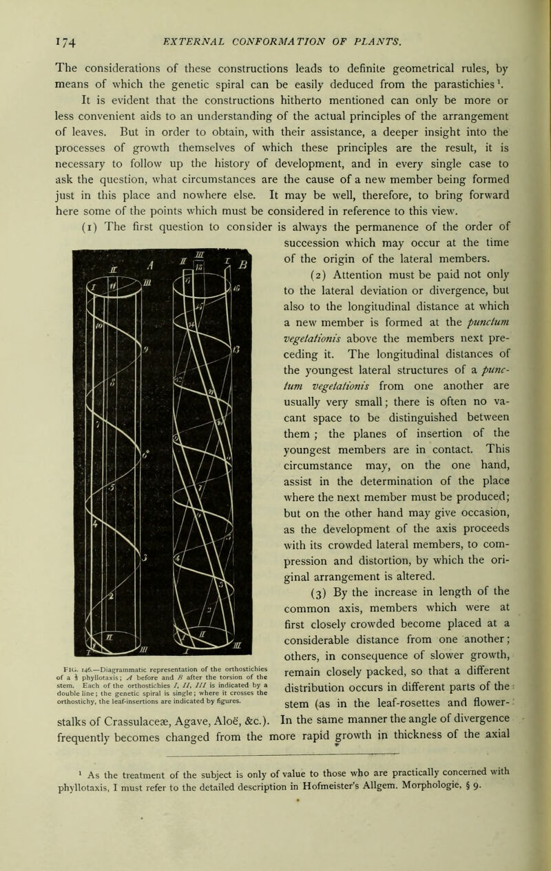 The considerations of these constructions leads to definite geometrical rules, by means of which the genetic spiral can be easily deduced from the parastichies \ It is evident that the constructions hitherto mentioned can only be more or less convenient aids to an understanding of the actual principles of the arrangement of leaves. But in order to obtain, with their assistance, a deeper insight into the processes of growth themselves of which these principles are the result, it is necessary to follow up the history of development, and in every single case to ask the question, what circumstances are the cause of a new member being formed just in this place and nowhere else. It may be well, therefore, to bring forward here some of the points which must be considered in reference to this view. (i) The first question to con si FHi. 146.—Diagrammatic representation of the orthostichies of a i phyllotaxis; A before and B after the torsion of the stem. Each of the orthostichies I, II, III is indicated by a double line; the genetic spiral is single; where it crosses the orthostichy, the leaf-insertions are indicated by figures. stalks of Crassulacese, Agave, Alo€, &c.). frequently becomes changed from the 1 is always the permanence of the succession which may occur at the time of the origin of the lateral members. (2) Attention must be paid not only to the lateral deviation or divergence, but also to the longitudinal distance at which a new member is formed at the punclum vegelationis above the members next pre- ceding it. The longitudinal distances of the youngest lateral structures of a punc- ium vegetationis from one another are usually very small; there is often no va- cant space to be distinguished between them ; the planes of insertion of the youngest members are in contact. This circumstance may, on the one hand, assist in the determination of the place where the next member must be produced; but on the other hand may give occasion, as the development of the axis proceeds with its crowded lateral members, to com- pression and distortion, by which the ori- ginal arrangement is altered. (3) By the increase in length of the common axis, members which were at first closely crowded become placed at a considerable distance from one another; others, in consequence of slower growth, remain closely packed, so that a different distribution occurs in different parts of the stem (as in the leaf-rosettes and flower- In the same manner the angle of divergence ore rapid growth in thickness of the axial 1 As the treatment of the subject is only of value to those who are practically conceined with phyllotaxis, I must refer to the detailed description in Hofmeister s Allgem. Morphologie, § 9.