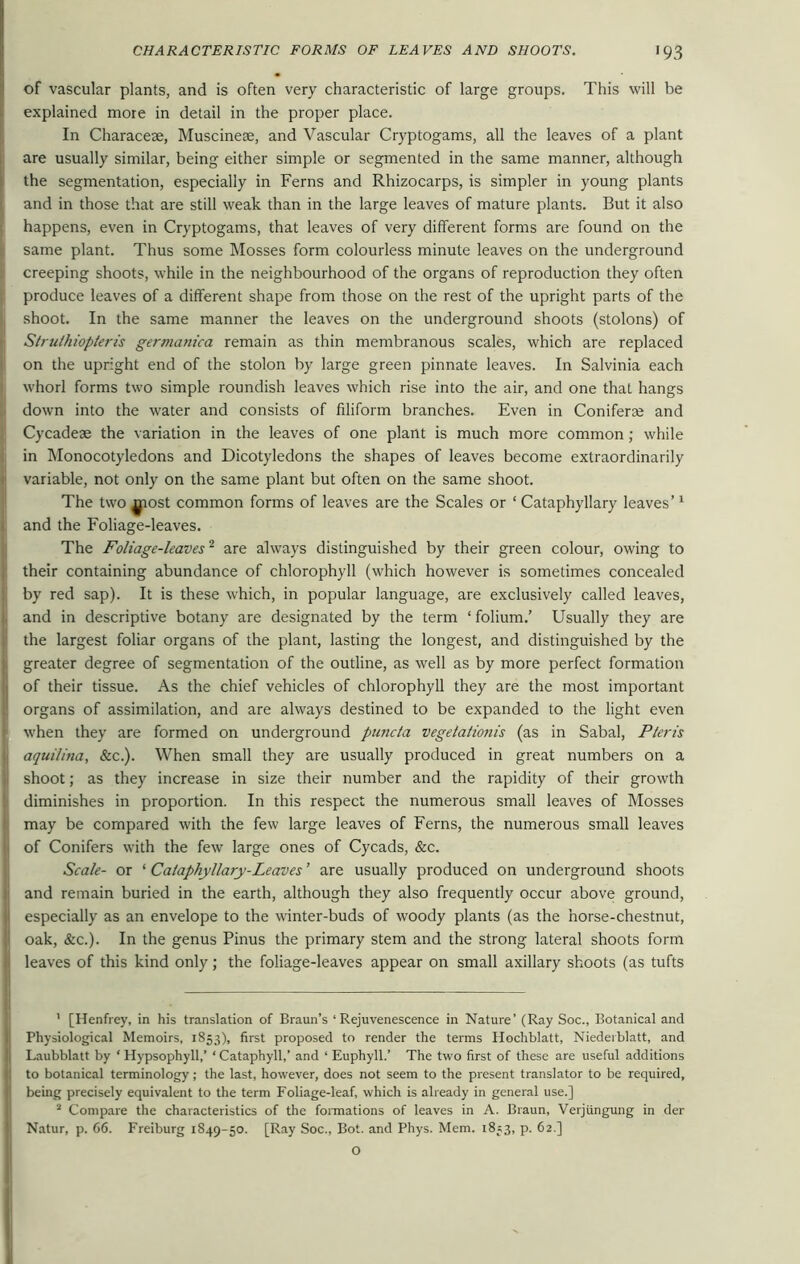 of vascular plants, and is often very characteristic of large groups. This will be explained more in detail in the proper place. In Characeae, Musciness, and Vascular Cryptogams, all the leaves of a plant are usually similar, being either simple or segmented in the same manner, although the segmentation, especially in Ferns and Rhizocarps, is simpler in young plants and in those that are still weak than in the large leaves of mature plants. But it also happens, even in Cryptogams, that leaves of very different forms are found on the same plant. Thus some Mosses form colourless minute leaves on the underground creeping shoots, while in the neighbourhood of the organs of reproduction they often produce leaves of a different shape from those on the rest of the upright parts of the shoot. In the same manner the leaves on the underground shoots (stolons) of Strulhiopieris germanica remain as thin membranous scales, which are replaced on the upright end of the stolon by large green pinnate leaves. In Salvinia each whorl forms two simple roundish leaves which rise into the air, and one that hangs down into the water and consists of filiform branches. Even in Conifer® and Cycadese the variation in the leaves of one plant is much more common; while in Monocotyledons and Dicotyledons the shapes of leaves become extraordinarily variable, not only on the same plant but often on the same shoot. The two ^tost common forms of leaves are the Scales or ‘ Cataphyllary leaves’1 and the Foliage-leaves. The Foliage-leaves2 are always distinguished by their green colour, owing to their containing abundance of chlorophyll (which however is sometimes concealed by red sap). It is these which, in popular language, are exclusively called leaves, and in descriptive botany are designated by the term ‘ folium.’ Usually they are the largest foliar organs of the plant, lasting the longest, and distinguished by the greater degree of segmentation of the outline, as well as by more perfect formation of their tissue. As the chief vehicles of chlorophyll they are the most important organs of assimilation, and are always destined to be expanded to the light even when they are formed on underground puncta vegetationis (as in Sabal, Pteris aquilitia, &c.). When small they are usually produced in great numbers on a shoot; as they increase in size their number and the rapidity of their growth diminishes in proportion. In this respect the numerous small leaves of Mosses may be compared with the few large leaves of Ferns, the numerous small leaves of Conifers with the few large ones of Cycads, &c. Scale- or ‘ Cataphyllary-Leaves ’ are usually produced on underground shoots and remain buried in the earth, although they also frequently occur above ground, especially as an envelope to the winter-buds of woody plants (as the horse-chestnut, oak, &c.). In the genus Pinus the primary stem and the strong lateral shoots form leaves of this kind only; the foliage-leaves appear on small axillary shoots (as tufts ' [Henfrey, in his translation of Braun’s ‘Rejuvenescence in Nature’ (Ray Soc., Botanical and Physiological Memoirs, 1853), first proposed to render the terms Hochblatt, Niederblatt, and Laubblatt by ‘ Hypsophyll,’ ‘ Cataphyll,’ and ‘ Euphyll.’ The two first of these are useful additions to botanical terminology; the last, however, does not seem to the present translator to be required, being precisely equivalent to the term Foliage-leaf, which is already in general use.] 2 Compare the characteristics of the formations of leaves in A. Braun, Verjungung in der Natur, p. 66. Freiburg 1849-50. [Ray Soc., Bot. and Phys. Mem. 1853, p. 62.] O