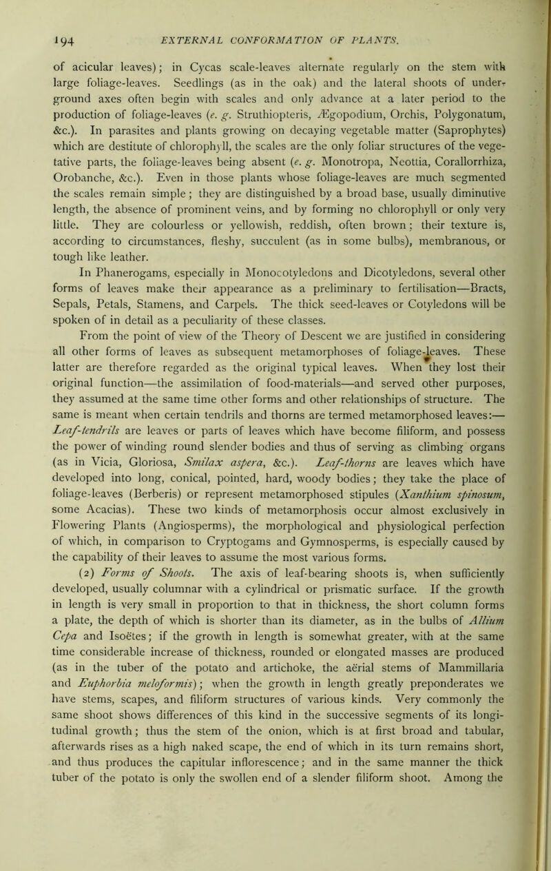of acicular leaves); in Cycas scale-leaves alternate regularly on the stem with large foliage-leaves. Seedlings (as in the oak) and the lateral shoots of underr ground axes often begin with scales and only advance at a later period to the production of foliage-leaves (e. g. Struthiopteris, ^Egopodium, Orchis, Polygonatum, &c.). In parasites and plants growing on decaying vegetable matter (Saprophytes) which are destitute of chlorophyll, the scales are the only foliar structures of the vege- tative parts, the foliage-leaves being absent (e. g. Monotropa, Neottia, Corallorrhiza, Orobanche, &c.). Even in those plants whose foliage-leaves are much segmented the scales remain simple; they are distinguished by a broad base, usually diminutive length, the absence of prominent veins, and by forming no chlorophyll or only very little. They are colourless or yellowish, reddish, often brown: their texture is, according to circumstances, fleshy, succulent (as in some bulbs), membranous, or tough like leather. In Phanerogams, especially in Monocotyledons and Dicotyledons, several other forms of leaves make their appearance as a preliminary to fertilisation—Bracts, Sepals, Petals, Stamens, and Carpels. The thick seed-leaves or Cotyledons will be spoken of in detail as a peculiarity of these classes. From the point of view of the Theory of Descent we are justified in considering all other forms of leaves as subsequent metamorphoses of foliage-deaves. These latter are therefore regarded as the original typical leaves. When they lost their original function—the assimilation of food-materials—and served other purposes, they assumed at the same time other forms and other relationships of structure. The same is meant when certain tendrils and thorns are termed metamorphosed leaves:— Leaf-tendrils are leaves or parts of leaves which have become filiform, and possess the power of winding round slender bodies and thus of serving as climbing organs (as in Vicia, Gloriosa, Smilax aspera, &c.). Leaf-thorns are leaves which have developed into long, conical, pointed, hard, woody bodies; they take the place of foliage-leaves (Berberis) or represent metamorphosed stipules (Xanthium spinosum, some Acacias). These two kinds of metamorphosis occur almost exclusively in Flowering Plants (Angiosperms), the morphological and physiological perfection of which, in comparison to Cryptogams and Gymnosperms, is especially caused by the capability of their leaves to assume the most various forms. (2) Forms of Shoots. The axis of leaf-bearing shoots is, when sufficiently developed, usually columnar with a cylindrical or prismatic surface. If the growth in length is very small in proportion to that in thickness, the short column forms a plate, the depth of which is shorter than its diameter, as in the bulbs of Allium Cepa and Isoetes; if the growth in length is somewhat greater, with at the same time considerable increase of thickness, rounded or elongated masses are produced (as in the tuber of the potato and artichoke, the aerial stems of Mammillaria and Euphorbia meloformis); when the growth in length greatly preponderates we have stems, scapes, and filiform structures of various kinds. Very commonly the same shoot shows differences of this kind in the successive segments of its longi- tudinal growth; thus the stem of the onion, which is at first broad and tabular, afterwards rises as a high naked scape, the end of which in its turn remains short, and thus produces the capitular inflorescence; and in the same manner the thick tuber of the potato is only the swollen end of a slender filiform shoot. Among the