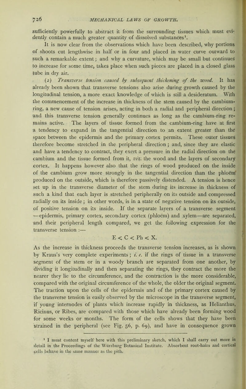 sufficiently powerfully to abstract it from the surrounding tissues which must evi- dently contain a much greater quantity of dissolved substances1. It is now clear from the observations which have been described, why portions of shoots cut lengthwise in half or in four and placed in water curve outward to such a remarkable extent; and why a curvature, which may be small but continues to increase for some time, takes place when such pieces are placed in a closed glass tube in dry air. (2) Transverse tension caused by subsequent thickening of the wood. It has already been shown that transverse tensions also arise during growth caused by the longitudinal tension, a more exact knowledge of which is still a desideratum. With the commencement of the increase in thickness of the stem caused by the cambium- ring, a new cause of tension arises, acting in both a radial and peripheral direction; and this transverse tension generally continues as long as the cambium-ring re- mains active. The layers of tissue formed from the cambium-ring have at first a tendency to expand in the tangential direction to an extent greater than thd space between the epidermis and the primary cortex permits. These outer tissues therefore become stretched in the peripheral direction ; and, since they are elastic and have a tendency to contract, they exert a pressure in the radial direction on the cambium and the tissue formed from it, viz: the wood and the layers of secondary cortex. It happens however also that the rings of wood produced on the inside of the cambium grow more strongly in the tangential direction than the phloem produced on the outside, which is therefore passively distended. A tension is hence set up in the transverse diameter of the stem during its increase in thickness of such a kind that each layer is stretched peripherally on its outside and compressed radially on its inside; in other words, is in a state of negative tension on its outside, of positive tension on its inside. If the separate layers of a transverse segment —epidermis, primary cortex, secondary cortex (phloem) and xylern—are separated, and their peripheral length compared, we get the following expression for the transverse tension :— E < C < Ph < X. As the increase in thickness proceeds the transverse tension increases, as is shown by Kraus’s very complete experiments; i. e. if the rings of tissue in a transverse segment of the stem or in a woody branch are separated from one another, by dividing it longitudinally and then separating the rings, they contract the more the nearer they lie to the circumference, and the contraction is the more considerable, compared with the original circumference of the whole, the older the original segment. The traction upon the cells of the epidermis and of the primary cortex caused by the transverse tension is easily observed by the microscope in the transverse segment, if young internodes of plants which increase rapidly in thickness, as Helianthus, Ricinus, or Ribes, are compared with those which have already been forming wood for some weeks or months. The form of the cells shows that they have been strained in the peripheral (see Fig. 56, p. 69), and have in consequence grown 1 I must content myself here with this preliminary sketch, which I shall carry out more in detail in the Proceedings of the Wurzburg Botanical Institute. Absorbent root-hairs and cortical cells behave in the same maimer as the pith.