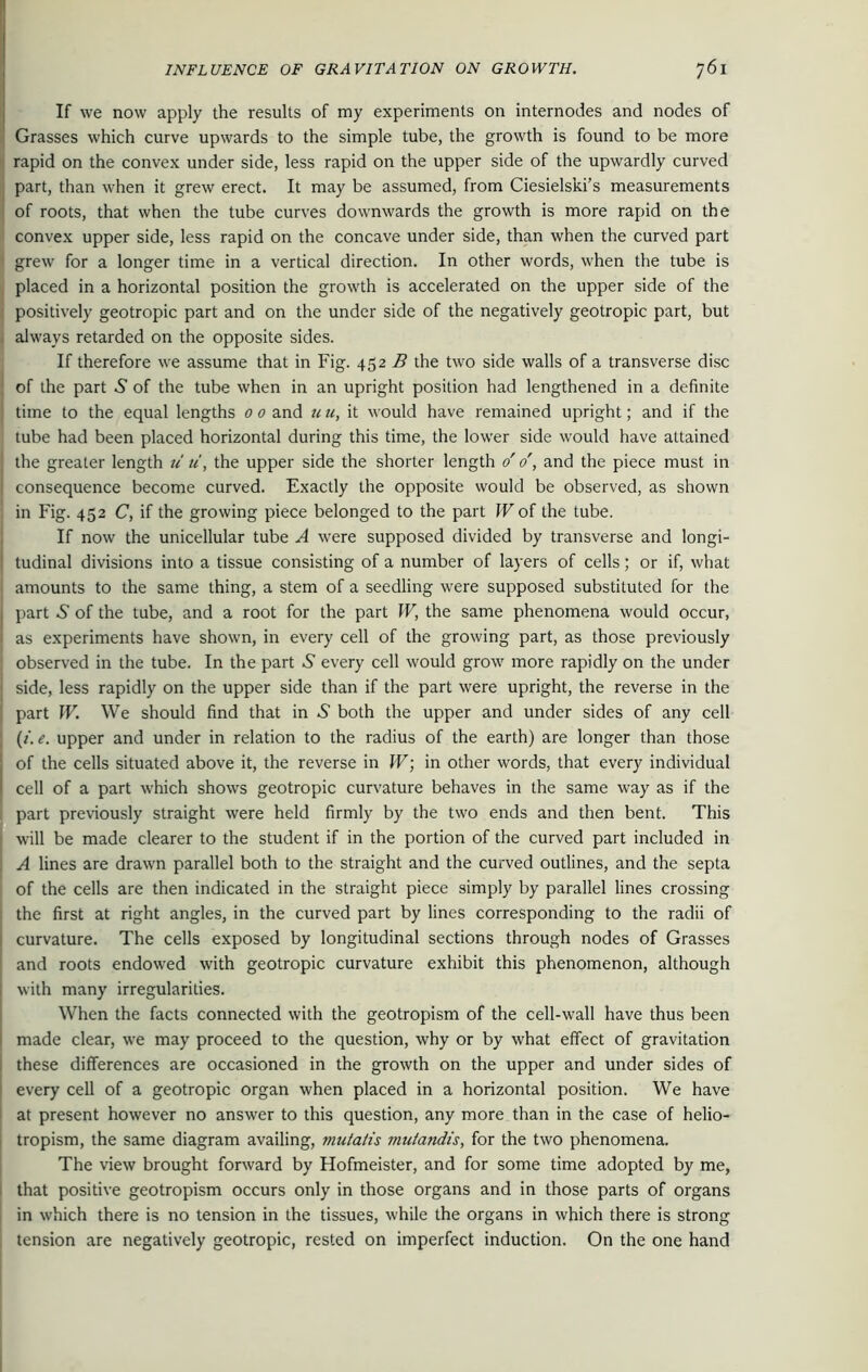 If we now apply the results of my experiments on internodes and nodes of Grasses which curve upwards to the simple tube, the growth is found to be more rapid on the convex under side, less rapid on the upper side of the upwardly curved ; part, than when it grew erect. It may be assumed, from Ciesielski’s measurements of roots, that when the tube curves downwards the growth is more rapid on the convex upper side, less rapid on the concave under side, than when the curved part i grew for a longer time in a vertical direction. In other words, when the tube is placed in a horizontal position the growth is accelerated on the upper side of the j positively geotropic part and on the under side of the negatively geotropic part, but always retarded on the opposite sides. If therefore we assume that in Fig. 452 B the two side walls of a transverse disc of the part .S' of the tube when in an upright position had lengthened in a definite I time to the equal lengths 0 0 and u u, it would have remained upright; and if the tube had been placed horizontal during this time, the lower side would have attained the greater length u 11, the upper side the shorter length 0' o', and the piece must in consequence become curved. Exactly the opposite would be observed, as shown ; in Fig. 452 C, if the growing piece belonged to the part W of the tube. If now the unicellular tube A were supposed divided by transverse and longi- tudinal divisions into a tissue consisting of a number of layers of cells; or if, what I amounts to the same thing, a stem of a seedling were supposed substituted for the part 6 of the tube, and a root for the part W, the same phenomena would occur, as experiments have shown, in every cell of the growing part, as those previously observed in the tube. In the part 5 every cell would grow more rapidly on the under side, less rapidly on the upper side than if the part were upright, the reverse in the part W. We should find that in .S' both the upper and under sides of any cell j (/. e. upper and under in relation to the radius of the earth) are longer than those of the cells situated above it, the reverse in W; in other words, that every individual cell of a part which shows geotropic curvature behaves in the same way as if the part previously straight were held firmly by the two ends and then bent. This will be made clearer to the student if in the portion of the curved part included in I A lines are drawn parallel both to the straight and the curved outlines, and the septa of the cells are then indicated in the straight piece simply by parallel lines crossing i the first at right angles, in the curved part by lines corresponding to the radii of curvature. The cells exposed by longitudinal sections through nodes of Grasses | and roots endowed with geotropic curvature exhibit this phenomenon, although with many irregularities. When the facts connected with the geotropism of the cell-wall have thus been made clear, we may proceed to the question, why or by what effect of gravitation these differences are occasioned in the growth on the upper and under sides of every cell of a geotropic organ when placed in a horizontal position. We have ! at present however no answer to this question, any more than in the case of helio- tropism, the same diagram availing, mutatis mutandis, for the two phenomena. The view brought forward by Hofmeister, and for some time adopted by me, that positive geotropism occurs only in those organs and in those parts of organs in which there is no tension in the tissues, while the organs in which there is strong tension are negatively geotropic, rested on imperfect induction. On the one hand