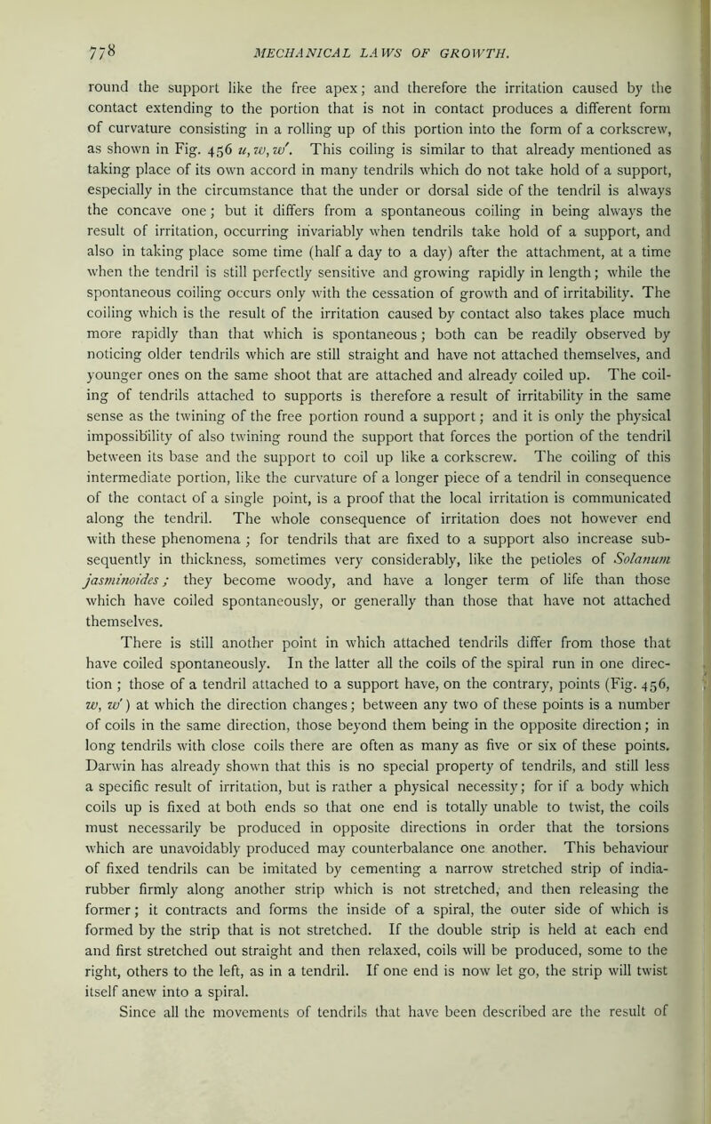 round the support like the free apex; and therefore the irritation caused by the contact extending to the portion that is not in contact produces a different form of curvature consisting in a rolling up of this portion into the form of a corkscrew, as shown in Fig. 456 u,w,w\ This coiling is similar to that already mentioned as taking place of its own accord in many tendrils which do not take hold of a support, especially in the circumstance that the under or dorsal side of the tendril is always the concave one; but it differs from a spontaneous coiling in being always the result of irritation, occurring invariably when tendrils take hold of a support, and also in taking place some time (half a day to a day) after the attachment, at a time when the tendril is still perfectly sensitive and growing rapidly in length; while the spontaneous coiling occurs only with the cessation of growth and of irritability. The coiling which is the result of the irritation caused by contact also takes place much more rapidly than that w'hich is spontaneous; both can be readily observed by noticing older tendrils which are still straight and have not attached themselves, and younger ones on the same shoot that are attached and already coiled up. The coil- ing of tendrils attached to supports is therefore a result of irritability in the same sense as the tw'ining of the free portion round a support; and it is only the physical impossibility of also tw'ining round the support that forces the portion of the tendril between its base and the support to coil up like a corkscrew. The coiling of this intermediate portion, like the curvature of a longer piece of a tendril in consequence of the contact of a single point, is a proof that the local irritation is communicated along the tendril. The whole consequence of irritation does not however end wdth these phenomena ; for tendrils that are fixed to a support also increase sub- sequently in thickness, sometimes very considerably, like the petioles of Solanmi jasminoides; they become woody, and have a longer term of life than those which have coiled spontaneously, or generally than those that have not attached themselves. There is still another point in which attached tendrils differ from those that have coiled spontaneously. In the latter all the coils of the spiral run in one direc- tion ; those of a tendril attached to a support have, on the contrary, points (Fig. 456, w, w') at which the direction changes; between any two of these points is a number of coils in the same direction, those beyond them being in the opposite direction; in long tendrils with close coils there are often as many as five or six of these points. Darwin has already showm that this is no special property of tendrils, and still less a specific result of irritation, but is rather a physical necessity; for if a body which coils up is fixed at both ends so that one end is totally unable to twist, the coils must necessarily be produced in opposite directions in order that the torsions which are unavoidably produced may counterbalance one another. This behaviour of fixed tendrils can be imitated by cementing a narrow stretched strip of india- rubber firmly along another strip which is not stretched, and then releasing the former; it contracts and forms the inside of a spiral, the outer side of which is formed by the strip that is not stretched. If the double strip is held at each end and first stretched out straight and then relaxed, coils will be produced, some to the right, others to the left, as in a tendril. If one end is now let go, the strip will twist itself anew into a spiral. Since all the movements of tendrils that have been described are the result of