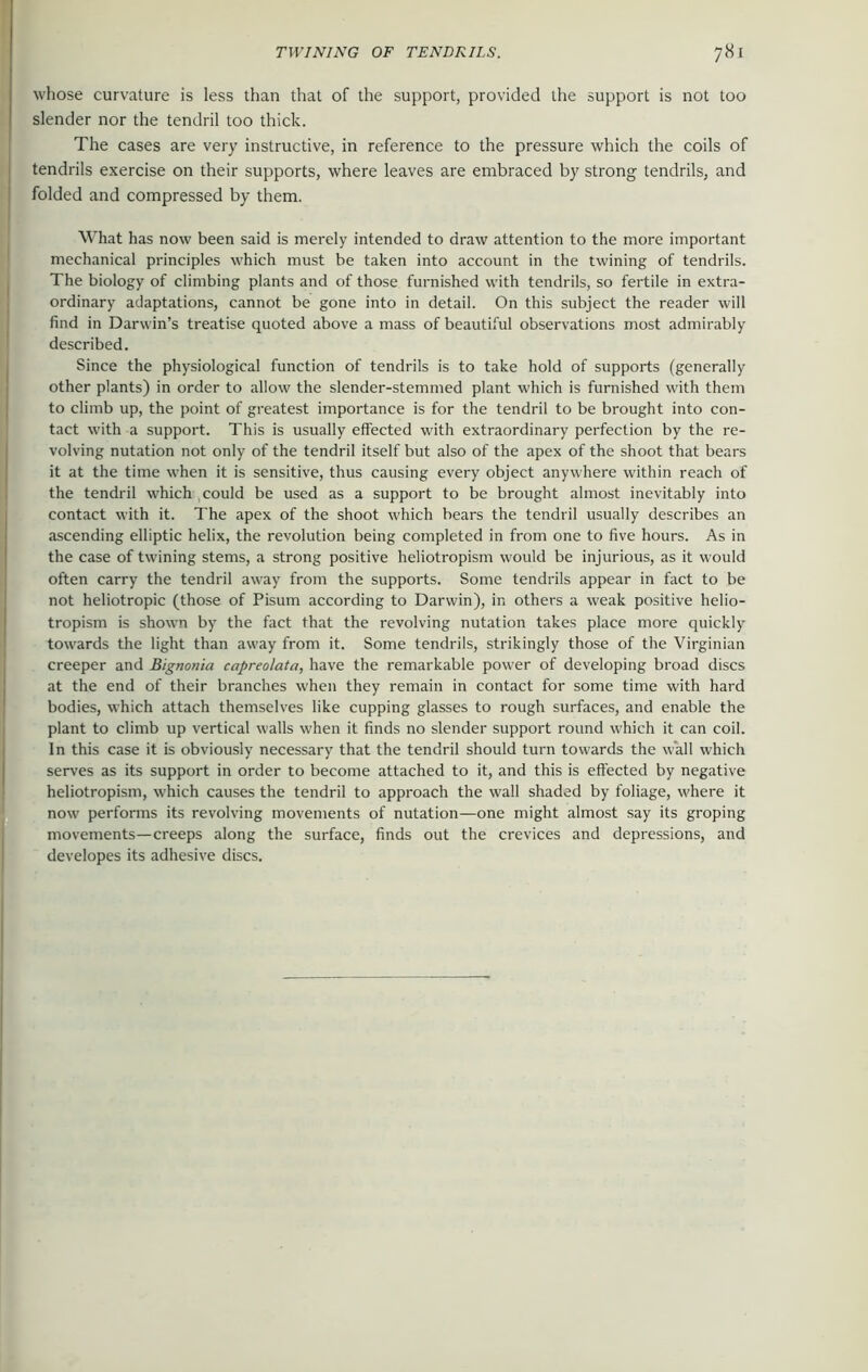 whose curvature is less than that of the support, provided the support is not too slender nor the tendril too thick. The cases are very instructive, in reference to the pressure which the coils of tendrils exercise on their supports, where leaves are embraced by strong tendrils, and folded and compressed by them. What has now been said is merely intended to draw attention to the more important mechanical principles which must be taken into account in the twining of tendrils. The biology of climbing plants and of those furnished with tendrils, so fertile in extra- ordinary adaptations, cannot be gone into in detail. On this subject the reader will find in Darwin’s treatise quoted above a mass of beautiful observations most admirably described. Since the physiological function of tendrils is to take hold of supports (generally other plants) in order to allow the slender-stemmed plant which is furnished with them to climb up, the point of greatest importance is for the tendril to be brought into con- tact with a support. This is usually effected with extraordinary perfection by the re- volving nutation not only of the tendril itself but also of the apex of the shoot that bears it at the time when it is sensitive, thus causing every object anywhere within reach of the tendril which could be used as a support to be brought almost inevitably into contact with it. The apex of the shoot which bears the tendril usually describes an ascending elliptic helix, the revolution being completed in from one to five hours. As in the case of twining stems, a strong positive heliotropism would be injurious, as it would often carry the tendril away from the supports. Some tendrils appear in fact to be not heliotropic (those of Pisum according to Darwin), in others a weak positive helio- tropism is shown by the fact that the revolving nutation takes place more quickly towards the light than away from it. Some tendrils, strikingly those of the Virginian creeper and Bignonia capreolata, have the remarkable power of developing broad discs at the end of their branches when they remain in contact for some time with hard bodies, which attach themselves like cupping glasses to rough surfaces, and enable the plant to climb up vertical walls when it finds no slender support round which it can coil. In this case it is obviously necessary that the tendril should turn towards the wall which serves as its support in order to become attached to it, and this is effected by negative heliotropism, which causes the tendril to approach the wall shaded by foliage, where it now performs its revolving movements of nutation—one might almost say its groping movements—creeps along the surface, finds out the crevices and depressions, and developes its adhesive discs.