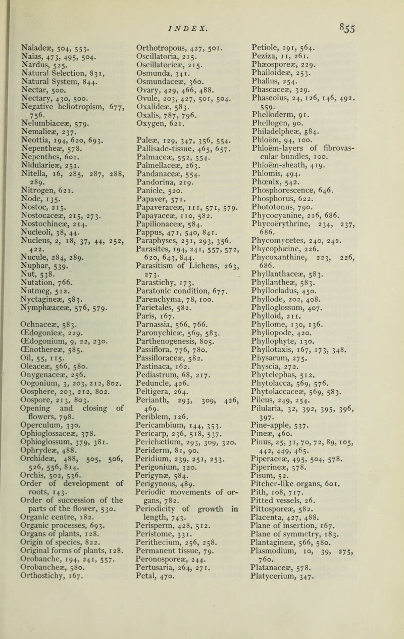 Naiadeae, 504, 553. Naias, 473, 495, 504. Nardus, 525. Natural Selection, 831, Natural System, 844. Nectar, 500. Nectary, 430, 500. Negative heliotropism, 677, 756. Nelumbiaceae, 579. Nemalieae, 237. Neottia, 194, 620, 693. Nepenthese, 578. Nepenthes, 601. Nidularieae, 251. Nitella, 16, 285, 287, 288, 289. Nitrogen, 621. Node, 135. Nostoc, 215. Nostocaceae, 215, 273. Nostochineae, 214. Nucleoli, 38, 44. Nucleus, 2, 18, 37, 44, 252, 422. Nucule, 284, 289. Nuphar, 539. Nut, 538. Nutation, 766. Nutmeg, 512. Nyctagineae, 583. Nymphaeaceae, 576, 579. Ochnaceae, 583. CEdogonieae, 229. (Edogonium, 9, 22, 230. CEnothereae, 585. Oil, 55, 115. Oleaceae, 566, 580. Onygenaceae, 256. Oogonium, 3, 203, 212, 802. Oosphere, 203, 212, 802. Oospore, 213, 803. Opening and closing of flowers, 798. Operculum, 330. Ophioglossaceae, 378. Ophioglossum, 379, 381. Ophrydeae, 488. Orchideae, 488, 505, 506, 526, 556, 814. Orchis, 502, 536. Order of development of roots, 143. Order of succession of the parts of the flower, 530. Organic centre, 182. Organic processes, 693. Organs of plants, 128. Origin of species, 822. Original forms of plants, 128. Orobanche, 194, 241, 557. Orobancheae, 580. Orthostichy, 167. INDEX. Orthotropous, 427, 501. Oscillatoria, 215. Oscillatorieae, 215. Osmunda, 341. Osmundaceae, 360. Ovary, 429, 466, 488. Ovule, 203, 427, 501, 504. Oxalideae, 583. Oxalis, 787, 796. Oxygen, 621. Paleae, 129, 347, 356, 554. Pallisade-tissue, 465, 657. Palmaceae, 552, 554. Palmellaceae, 263. Pandanaceae, 554. Pandorina, 219. Panicle, 520. Papaver, 571. Papaveraceae, in, 571, 579. Papayaeeae, no, 582. Papilionaceae, 584. Pappus, 471, 540, 841. Paraphyses, 251, 293, 356. Parasites, 194, 241, 557, 572, 620, 643, 844. Parasitism of Lichens, 263, 273. Parastichy, 173. Paratonic condition, 677. Parenchyma, 78, 100. Parietales, 582. Paris, 167. Parnassia, 566, 766. Paronychieae, 569, 583. Parthenogenesis, 805. Passiflora, 776, 780. Passifloraceae, 582. Pastinaca, 162. Pediastrum, 68, 217. Peduncle, 426. Peltigera, 264. Perianth, 293, 309, 426, 469. Periblem, 126. Pericambium, 144, 353. Pericarp, 236, 518, 537, Perichaetium, 293, 309, 320. Periderm, 81, 90. Peridium, 239, 251, 253. Perigonium, 320. Perigynae, 584. Perigynous, 489. Periodic movements of or- gans, 782. Periodicity of growth in length, 743. Perisperm, 428, 512. Peristome, 331. Perithecium, 256, 258. Permanent tissue, 79. Peronosporeae, 244. Pertusaria, 264, 271. Petal, 470. 855 Petiole, 191, 564. Peziza, n, 261. Phaeosporeae, 229, Phalloideae, 253. Phallus, 254. Phascaceae, 329. Phaseolus, 24, 126, 146, 492. 559- Phelloderm, 91. Phellogen, 90. Philadelpheae, 584. Phloem, 94, 100. Phloem-layers of fibrovas- cular bundles, 100. Phloem-sheath, 419. Phlomis, 494. Phoenix, 542. Phosphorescence, 646. Phosphorus, 622. Phototonus, 790. Phycocyanine, 216, 686. Phycoerythrine, 234, 237, 686. Phycomycetes, 240, 242. Phycophaeine, 226. Phycoxanthine, 223, 226, 686. Phyllanthaceae, 583. Phyllantheae, 583. Phylloeladus, 450. Phyllode, 202, 408. Phylloglossum, 407. Phylloid, 211. Phyllome, 130, 136. Phyllopode, 420. Phyllophyte, 130. Phyllotaxis, 167, 173, 348. Physarum, 275. Physcia, 272. Phytelephas, 512. Phytolacca, 569, 576. Phytolaccaceae, 569, 583. Pileus, 249, 254. Pilularia, 32, 392, 395, 396, 397- Pine-apple, 537. Pineae, 460. Pinus, 25, 31, 70, 72, 89,105, 442, 449, 465. Piperaceae, 495, 504, 578. Piperineae, 578. Pisum, 52. Pitcher-like organs, 601. Pith, 108, 717. Pitted vessels, 26. Pittosporeae, 582. Placenta, 427, 488. Plane of insertion, 167. Plane of symmetry, 183. Plantagineae, 566, 580. Plasmodium, 10, 39, 275, 760. Platanaceae, 578. Platycerium, 347.