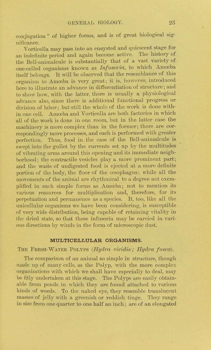 conjugation  of higher forms, and is of great biological sig- nificance. Vorticella may pass into an encysted and quiescent stage for an indefinite period and again become active. The history of the Bell-animalcule is substantially that of a vast variety of one-celled organisms known as Infusoria, to which Amoeba itself belongs. It will be observed that the resemblance of this organism to Amoeba is very great; it is, however, introduced here to illustrate an advance in differentiation of structure; and to show how, with the latter, there is usually a physiological advance also, since there is additional functional progress or division of labor; but still the whole of the work is done with- in one cell. Amoeba and Vorticella are both factories in which all of the work is done in one room, but in the latter case the machinery is more complex than in the former; there are cor- respondingly more processes, and each is performed with greater perfection. Thus, food in.the case of the Bell-animalcule is swept into the gullet by the currents set up by the multitudes of vibrating arms around this opening and its immediate neigh- borhood ; the contractile vesicles play a more prominent part; and the waste of undigested food is ejected at a more definite portion of the body, the floor of the oesophagus; while all the movements of the animal are rhythmical to a degree not exem- plified in such simple forms as Amoeba; not to mention its various resources for multiplication and, therefore, for its perpetuation and permanence as a species. It, too, like all the unicellular organisms we have been considering, is susceptible of very wide distribution, being capable of retaining vitality in the dried state, so that these infusoria may be carried in vari- ous directions by winds in the form of microscopic dust. MULTICELLULAR ORGANISMS. The Fresh-Water Polyps {Hydra viridis; Hydra fusca). The comparison of an animal so simple in structure, though made up of many cells, as the Polyp, with the more complex organizations with which we shall have especially to deal, may be fitly undertaken at this stage. The Polyps are easily obtain- al)le from ponds in which they are found attached to various kinds of weeds. To the naked eye, they resemble translucent masses of jelly with a greenish or reddish tinge. They range in size from one quarter to one half an inch; are of an elongated