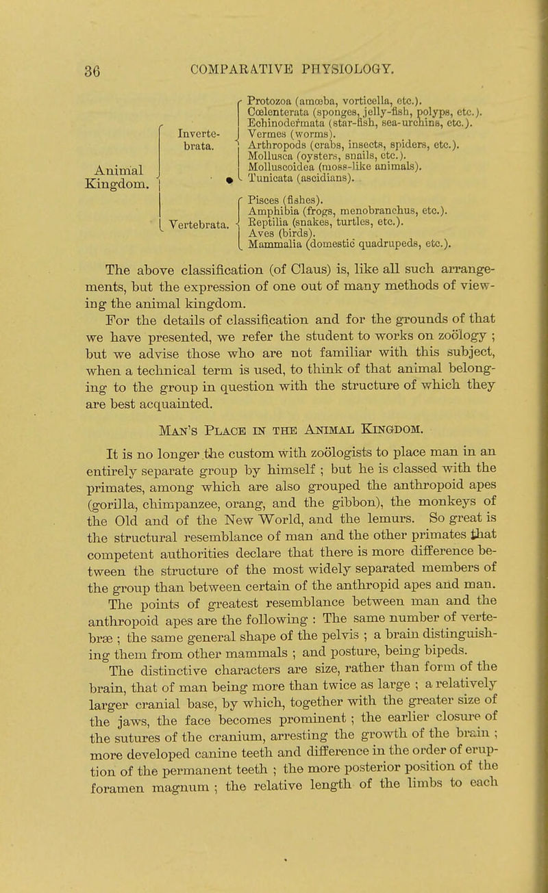 r Protozoa (amoeba, vorticella, etc.). Coelonterata (sponges, .jelly-fifih, polyps, etc.). Echinodermata (star-fish, sea-urcnins, etc.). Invcrte- J Vermes (worms), brata. Arthropods (crabs, insects, spiders, etc.). Mollusca (oysters, snails, etc.). Molluscoidea (moss-like animals). Animal Kingdom. % Tunicata (ascidians). Vertebrata. \ Eeptilia (snakes, turtles, etc.). Aves (birds'). ^ Mammalia (domestic quadrupeds, etc.). ' Pisces (fishes). Amphibia (frogs, menobranchus, etc.). The above classification (of Claus) is, like all such arrange- ments, but the expression of one out of many methods of view- ing the animal kingdom. For the details of classification and for the grounds of that we have presented, we refer the student to works on zoology ; but we advise those who are not familiar with this subject, when a technical term is used, to think of that animal belong- ing to the group in question with the structure of which they are best acquainted. It is no longer the custom with zoologists to place man in an entirely separate group by himself ; but he is classed with the primates, among which are also grouped the anthropoid apes (gorilla, chimpanzee, orang, and the gibbon), the monkeys of the Old and of the New World, and the lemurs. So great is the structural resemblance of man and the other primates that competent authorities declare that there is more difference be- tween the structure of the most widely separated members of the group than between certain of the anthropid apes and man. The points of greatest resemblance between man and the anthropoid apes are the following : The same number of verte- brae ; the same general shape of the pelvis ; a brain distinguish- ing them from other mammals ; and posture, being bipeds. The distinctive characters are size, rather than form of the brain, that of man being more than twice as large ; a relatively larger cranial base, by which, together with the greater size of the jaws, the face becomes prominent; the earlier closui-e of the sutures of the cranium, arresting the growth of the brain ; more developed canine teeth and difference in the order of erup- tion of the permanent teeth ; the more posterior position of the foramen magnum ; the relative length of the limbs to each Man's Place m the Animal Kingdom.