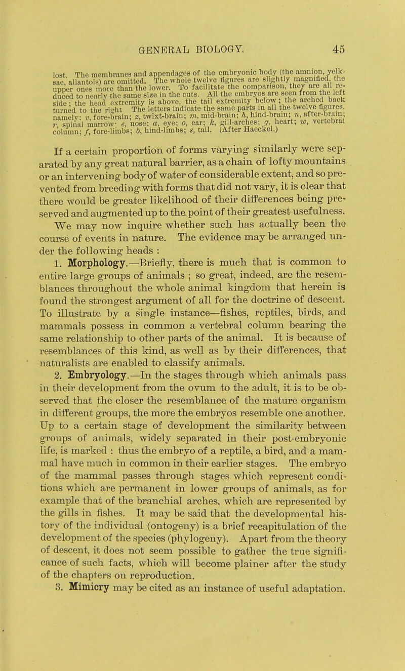 lost. The membranes and appendages of the embryonic body (the amnion yellc- eac. allantois) are omitted. The whole twelve ligures are slightly magnified the npi er ones more than the lower. To facilitate the comparison, they are all re- uced to nearly the same size in the cuts. All the embryos are seen from the left sXrthe head extremity is above, the tail extremity below ; the arched back turned to the riht The letters indicate the same parts in all the twelve figures, namoV v fore-Grain; z, twixt-brain; w, mid-brain; A, hind-brain; n, after-brain; Tpi'ml manow- nose; «, eye; o, ear; k, gill-arches; (7, heart; iv, vertebral column; /, fore-limbs; b, hind-limbs; s, tail. (After Haeckel.) If a certain proportion of forms varying similarly were sep- arated by any great natural barrier, as a chain of lofty mountains or an intervening body of vpater of considerable extent, and so pre- vented from breeding with forms that did not vary, it is clear that there would be greater likelihood of their differences being pre- served and augmented up to the point of their greatest usefulness. We may now inquire whether such has actually been the course of events in nature. The evidence may be arranged un- der the following heads : 1. Morphology.—Briefly, there is much that is common to entire large groups of animals ; so great, indeed, are the resem- blances throughout the whole animal kingdom that herein is found the strongest argument of all for the doctrine of descent. To illustrate by a single instance—fishes, reptiles, birds, and mammals possess in common a vertebral column bearing the same relationship to other parts of the animal. It is because of resemblances of this kind, as well as by their differences, that naturalists are enabled to classify animals. 2. Embryology.—In the stages through which animals pass in their development from the ovum to the adult, it is to be ob- served that the closer the resemblance of the mature organism in different groups, the more the embryos resemble one another. Up to a certain stage of development the similarity between groups of animals, widely separated in their post-embryonic life, is marked : thus the embryo of a reptile, a bird, and a mam- mal have much in common in their earlier stages. The embryo of the mammal passes through stages which represent condi- tions which are permanent in lower groups of animals, as for example that of the branchial arches, which are represented by the gills in fishes. It may be said that the developmental his- tory of the individual (ontogeny) is a brief recapitulation of the development of the species (phylogeny). Apart from the theory of descent, it does not seem possible to gather the true signifi- cance of such facts, which will become plainer after the study of the chapters on reproduction. 3. Mimicry may be cited as an instance of useful adaptation.