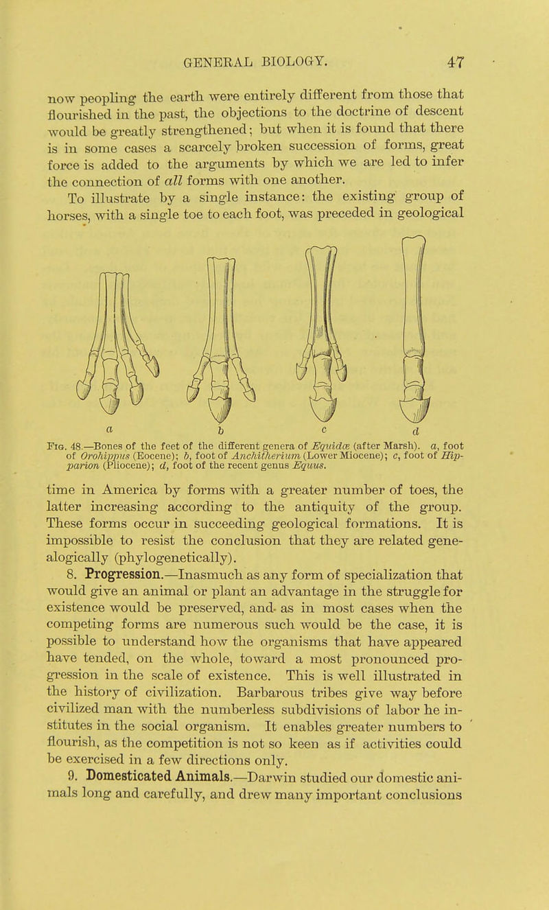 now peopling the earth were entirely different from those that flourished in the past, the objections to the doctrine of descent would be greatly strengthened; but when it is found that there is in some cases a scarcely broken succession of forms, great force is added to the arguments by which we are led to infer the connection of all forms with one another. To illustrate by a single instance: the existing group of horses, with a single toe to each foot, was preceded in geological Fig. 48.—Bones of the feet of the different genera of Eqidda (.after Marsh), a, foot of Orohippns (KocenQ); b, foot of ^wc/iii:AfiriiM?i (Lower Miocene); c,iootoiHip- parion (Pliocene); cl, foot of the recent genus Equus. time in America by forms with a greater number of toes, the latter increasing according to the antiquity of the group. These forms occur in succeeding geological formations. It is impossible to resist the conclusion that they are related gene- alogically (phylogenetically). 8. Progression.—Inasmuch as any form of specialization that would give an animal or plant an advantage in the struggle for existence would be preserved, and- as in most cases when the competing forms are numerous such would be the case, it is possible to understand how the organisms that have appeared have tended, on the whole, toward a most pronounced pro- gression in the scale of existence. This is well illustrated in the history of civilization. Barbarous tribes give way before civilized man with the numberless subdivisions of labor he in- stitutes in the social organism. It enables greater numbers to fl.ourish, as the competition is not so keen as if activities could be exercised in a few directions only. 9. Domesticated Animals.—Darwin studied our domestic ani- mals long and carefully, and drew many important conclusions