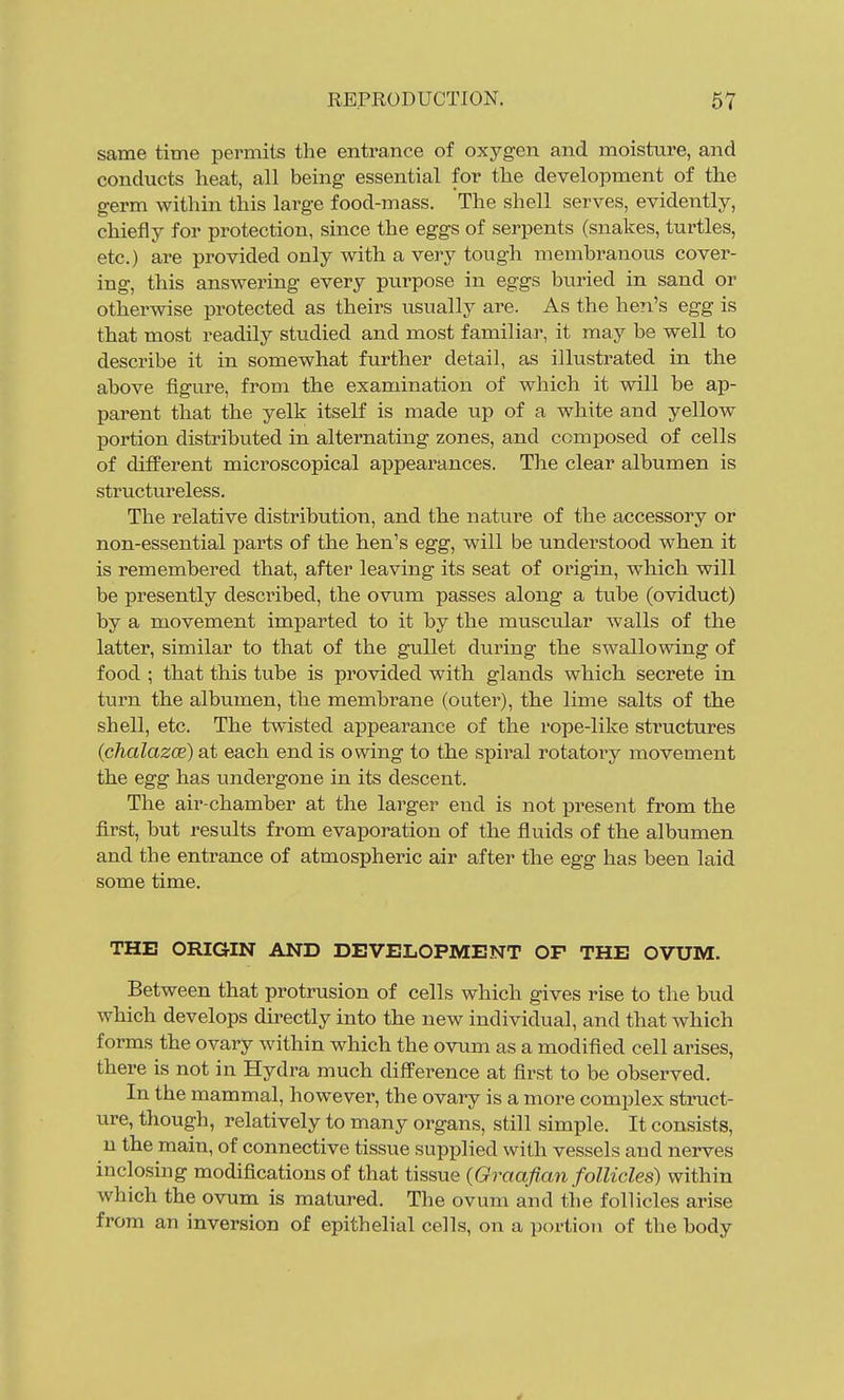 same time permits the entrance of oxygen and moisture, and conducts heat, all being essential for the development of the germ within this large food-mass. The shell serves, evidently, chiefly for protection, since the eggs of serpents (snakes, turtles, etc.) are provided only with a very tough membranous cover- ing, this answering every purpose in eggs buried in sand or otherwise protected as theirs usually are. As the hen's egg is that most readily studied and most familiar, it may be well to describe it in somewhat further detail, as illustrated in the above figure, from the examination of which it will be ap- parent that the yelk itself is made up of a white and yellow portion distributed in alternating zones, and composed of cells of different microscopical appearances. The clear albumen is structureless. The relative distribution, and the nature of the accessory or non-essential parts of the hen's egg, will be understood when it is remembered that, after leaving its seat of origin, which will be presently described, the ovum passes along a tube (oviduct) by a movement imparted to it by the muscular walls of the latter, similar to that of the gullet during the swallowing of food ; that this tube is provided with glands which secrete in turn the albumen, the membrane (outer), the lime salts of the shell, etc. The twisted appearance of the rope-like structures (chalazce) at each end is owing to the spiral rotatory movement the egg has undergone in its descent. The air-chamber at the larger end is not present from the first, but results from evaporation of the fluids of the albumen and the entrance of atmospheric air after the egg has been laid some time. THE ORIGIN AND DEVELOPMENT OF THE OVUM. Between that protrusion of cells which gives rise to the bud which develops directly into the new individual, and that which forms the ovary within which the ovum as a modified cell arises, there is not in Hydra much difference at first to be observed. In the mammal, however, the ovary is a more complex struct- ure, though, relatively to many organs, still simple. It consists, n the main, of connective tissue supplied with vessels and nerves inclosing modifications of that tissue {Graafian follicles) within which the ovum is matured. The ovum and the follicles arise from an inversion of epithelial cells, on a portion of the body 4