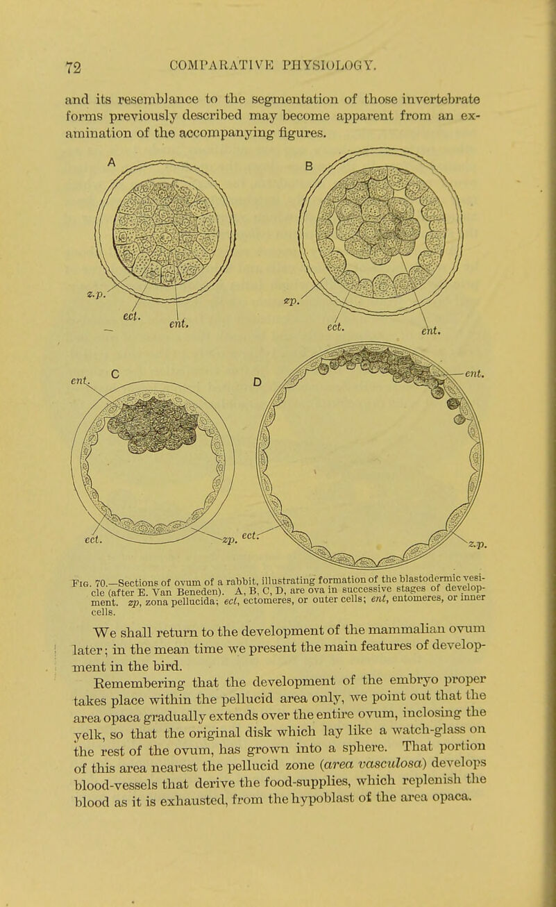 and its resemblance to the segmentation of those invertebrate forms previously described may become apparent from an ex- amination of the accompanying figures. Fig. 70.-Section6 of ovum of a rabbit, illustrating formation of the blastodermic ^^s- cle (after B. Van Beneden). A, B. C, D, are ova in euccessiye stages of develop- ment, zp, zona pellucida; eel, ectomeres, or outer cells; ent, entomeres, or inner cells. We shall return to the development of the mammalian ovum later; in the mean time we present the main features of develop- ment in the bird. Remembering that the development of the embryo proper takes place within the pellucid area only, we point out that the areaopaca gradually extends over the entire ovum, inclosing the yelk, so that the original disk which lay like a watch-glass on the rest of the ovum, has grown into a sphere. That portion of this area nearest the pellucid zone {area vasculosa) develops blood-vessels that derive the food-supplies, which replenish the blood as it is exhausted, from the hypoblast oi the ai-ea opaca.