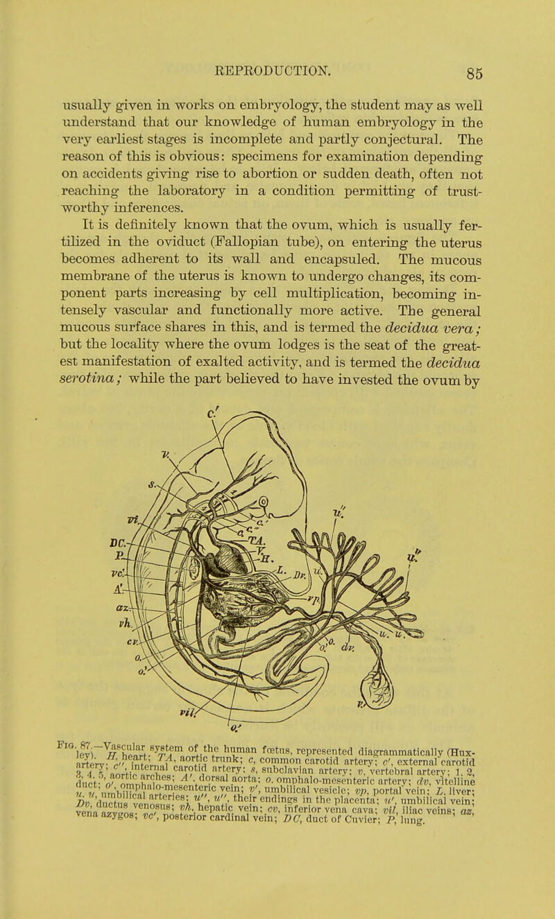 usually given in works on embryology, the student may as well understand that our knowledge of human embryology in the very earliest stages is incomplete and partly conjectural. The reason of this is obvious: specimens for examination depending on accidents giving rise to abortion or sudden death, often not reaching the laboratory in a condition permitting of trust- worthy inferences. It is definitely known that the ovum, which is usually fer- tilized in the oviduct (Fallopian tube), on entering the uterus becomes adherent to its wall and encapsuled. The mucous membrane of the uterus is known to undergo changes, its com- ponent parts increasing by cell multiplication, becoming in- tensely vascular and functionally more active. The general mucous surface shares in this, and is termed the decidua vera ; but the locality where the ovum lodges is the seat of the great- est manifestation of exalted activity, and is termed the decidua serotina; while the part believed to have invested the ovum by DC.
